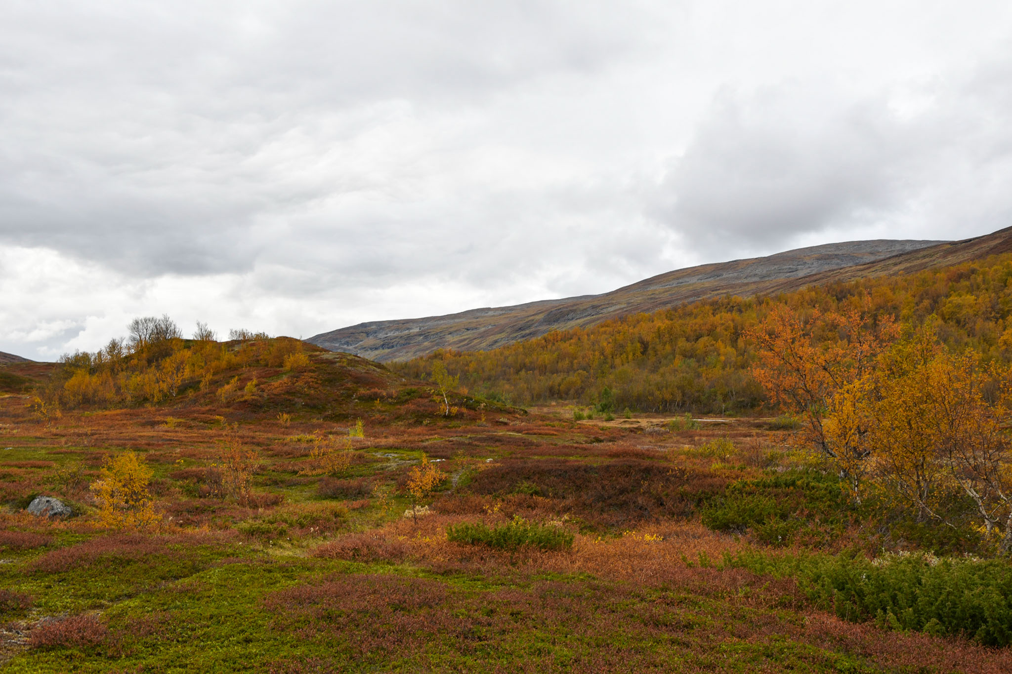 Abisko2018_DSC3805WEB.jpg