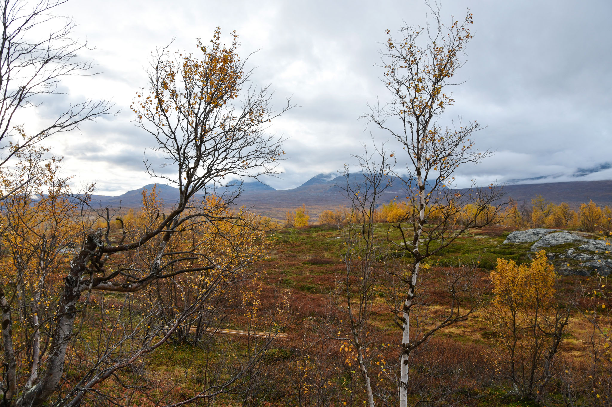 Abisko2018_DSC3808WEB.jpg