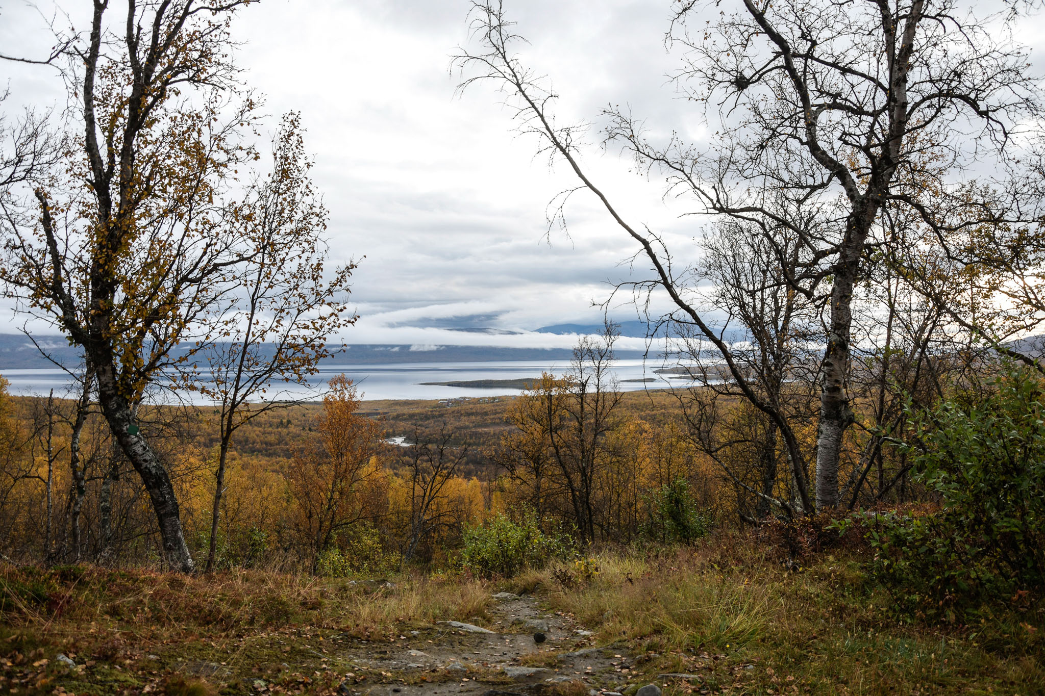 Abisko2018_DSC3809WEB.jpg