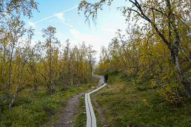 Abisko2018_DSC3049WEB.jpg