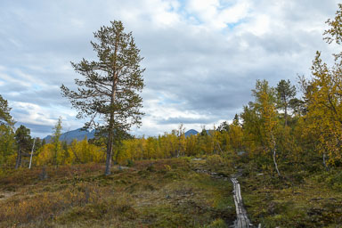 Abisko2018_DSC3054WEB.jpg