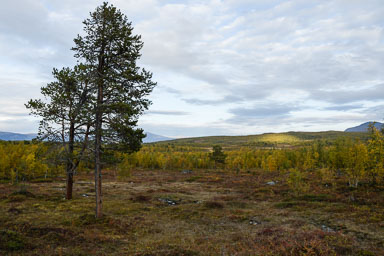 Abisko2018_DSC3056WEB.jpg