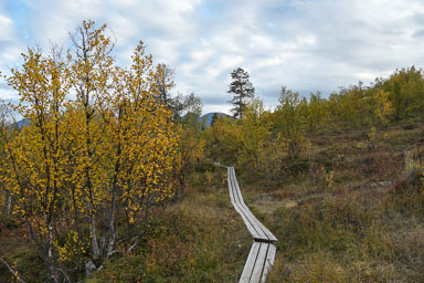 Abisko2018_DSC3057WEB.jpg