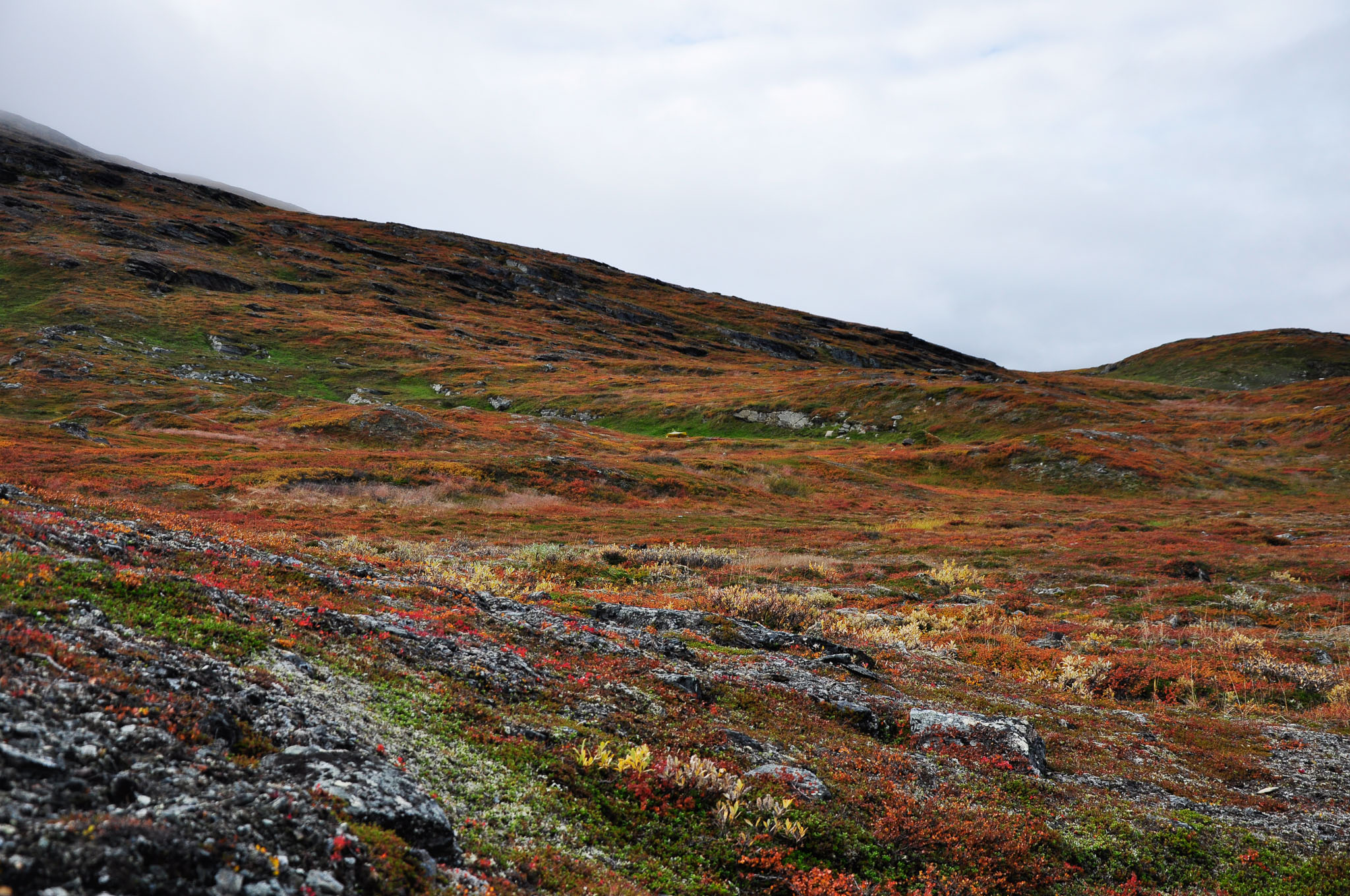 Abisko2017_02_DSC0005.jpg