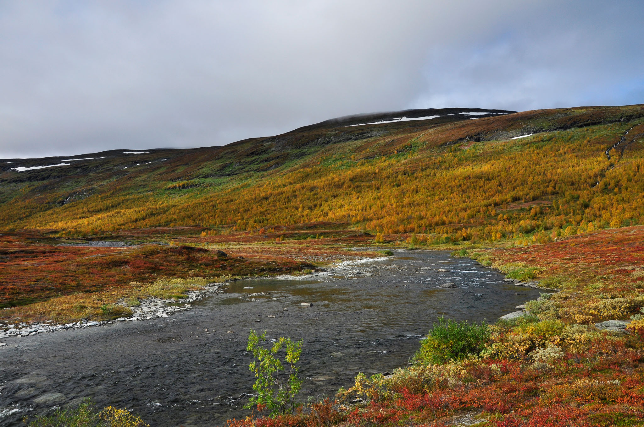 Abisko2017_02_DSC0012.jpg