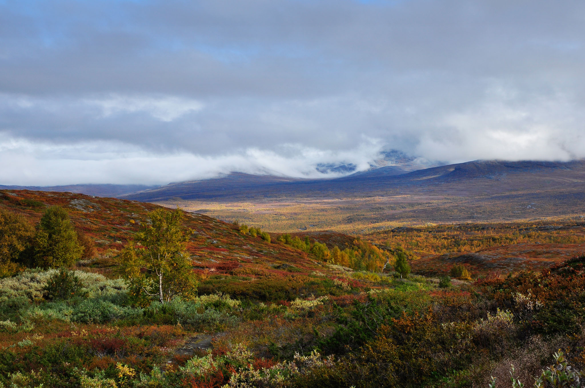 Abisko2017_02_DSC0016.jpg