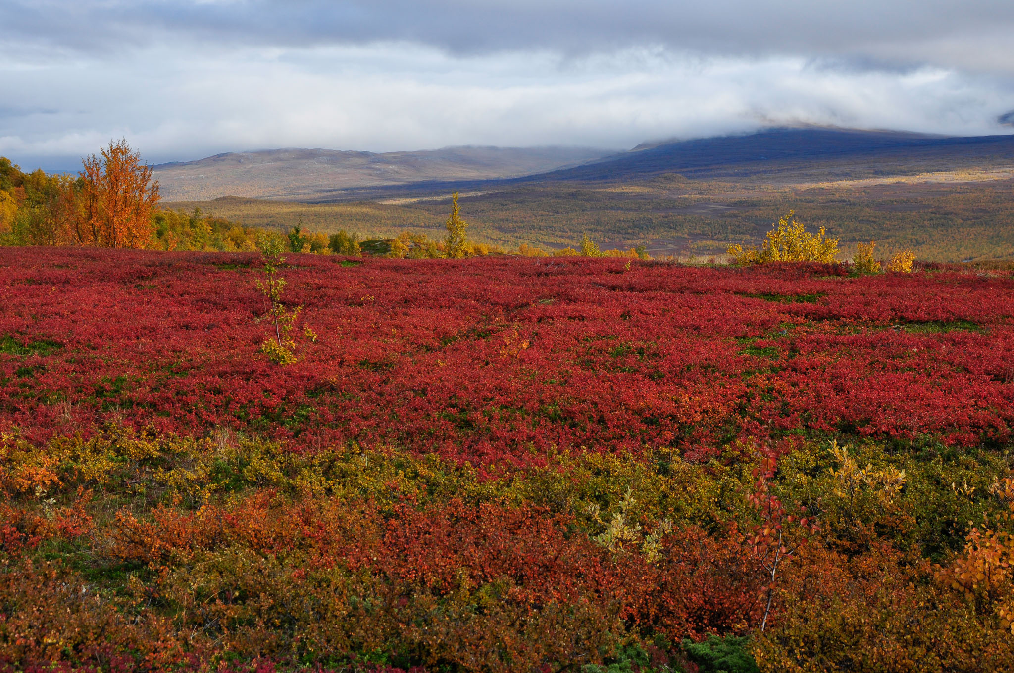 Abisko2017_02_DSC0020.jpg