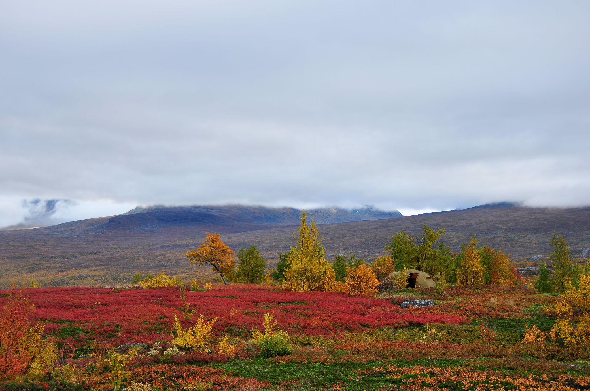 Abisko2017_02_DSC0046.jpg