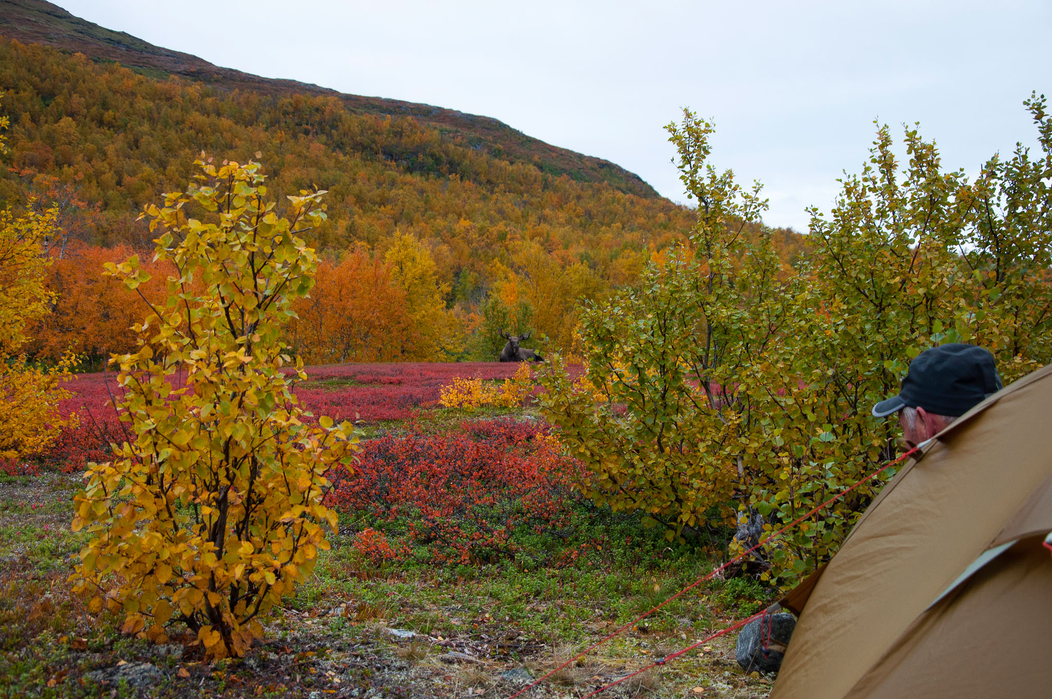 Abisko2017_02_DSC0046B.jpg