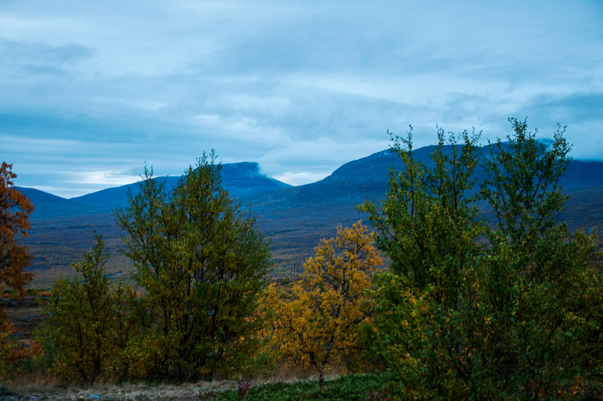 Abisko2017_02_DSC0091.jpg