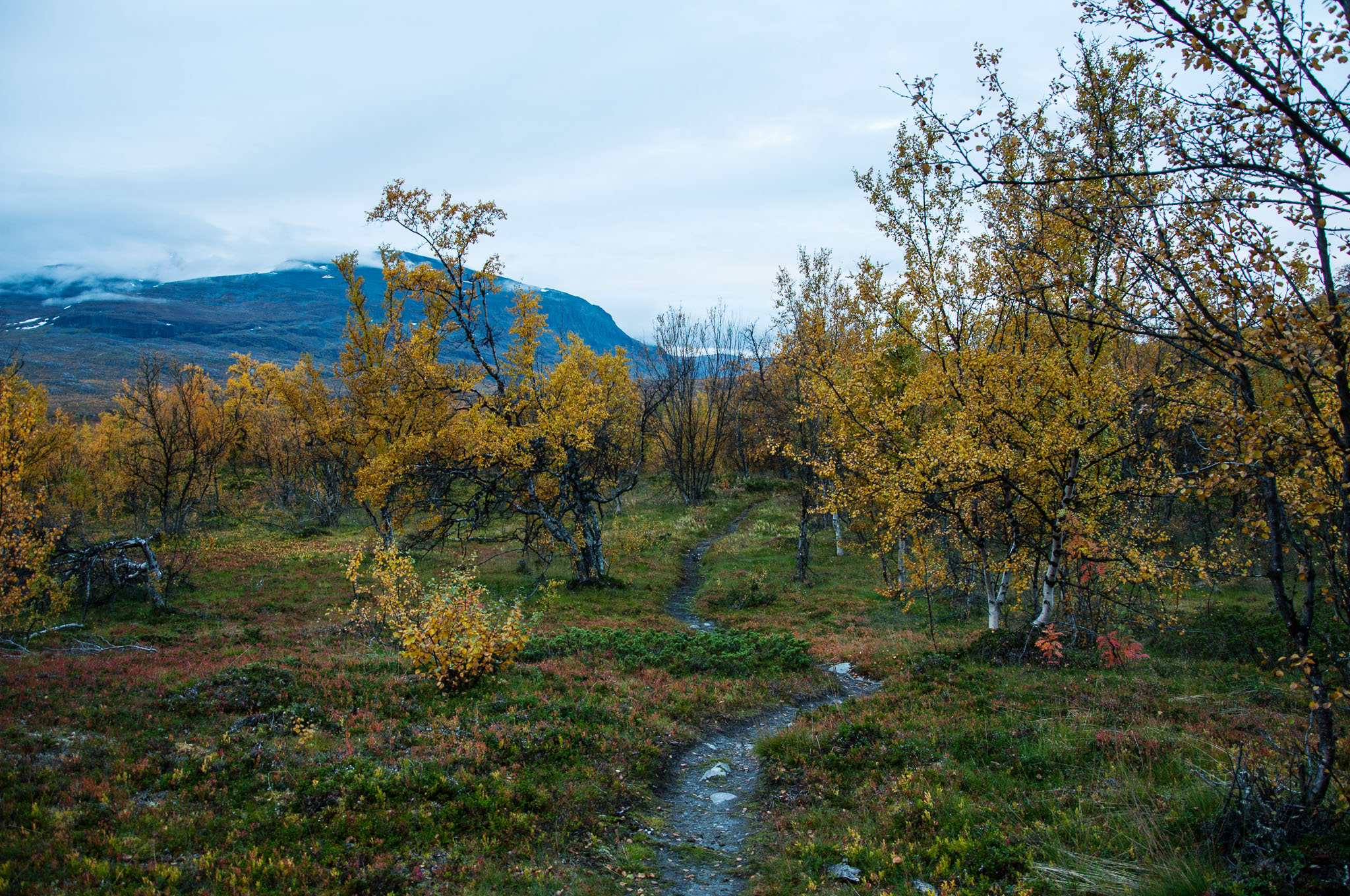 Abisko2017_02_DSC0094.jpg