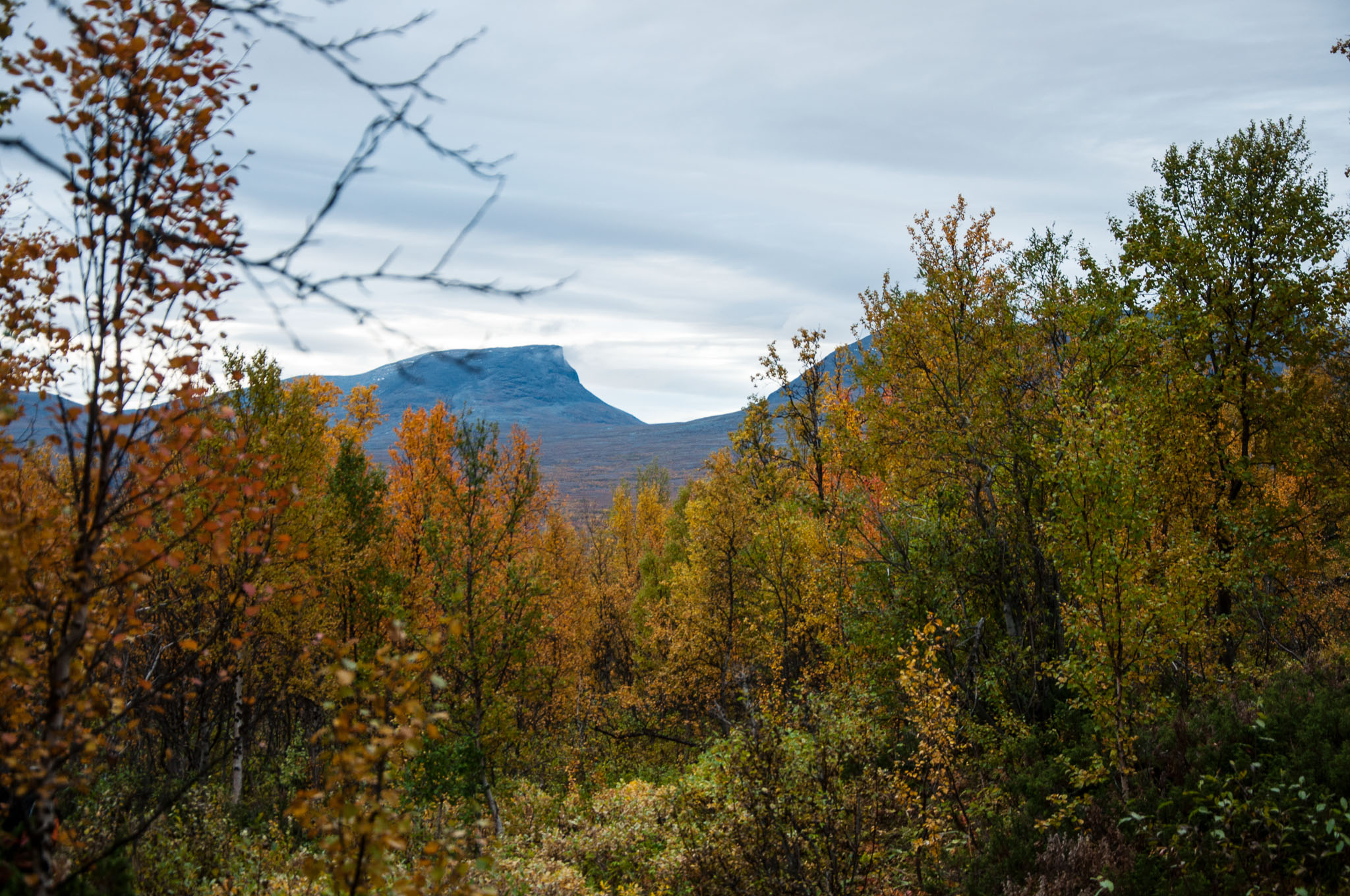 Abisko2017_02_DSC0097.jpg