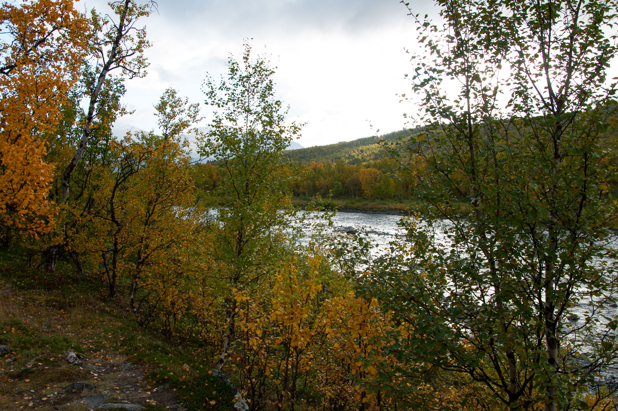 Abisko2017_DSC0006.jpg