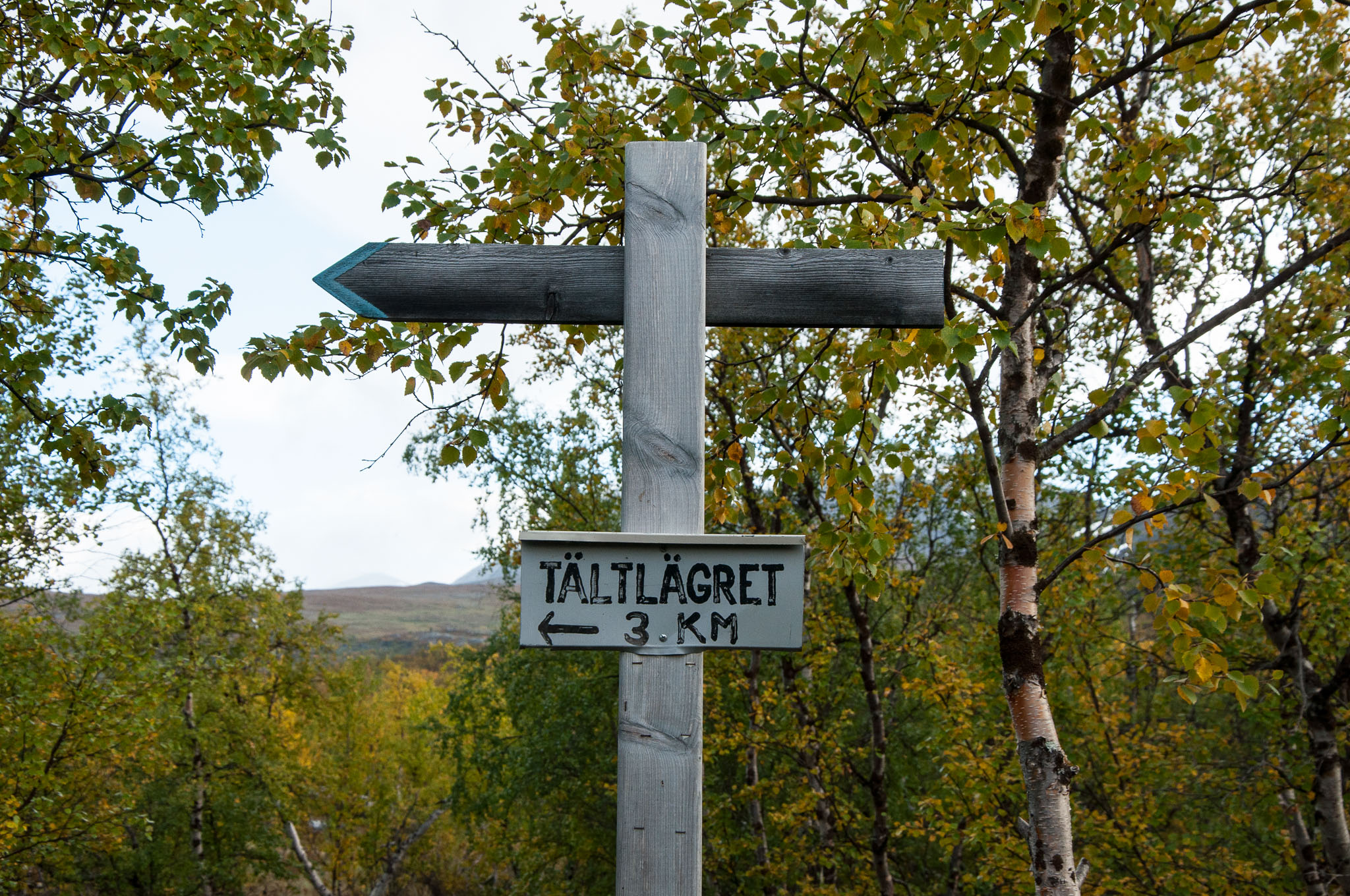 Abisko2017_DSC0024.jpg