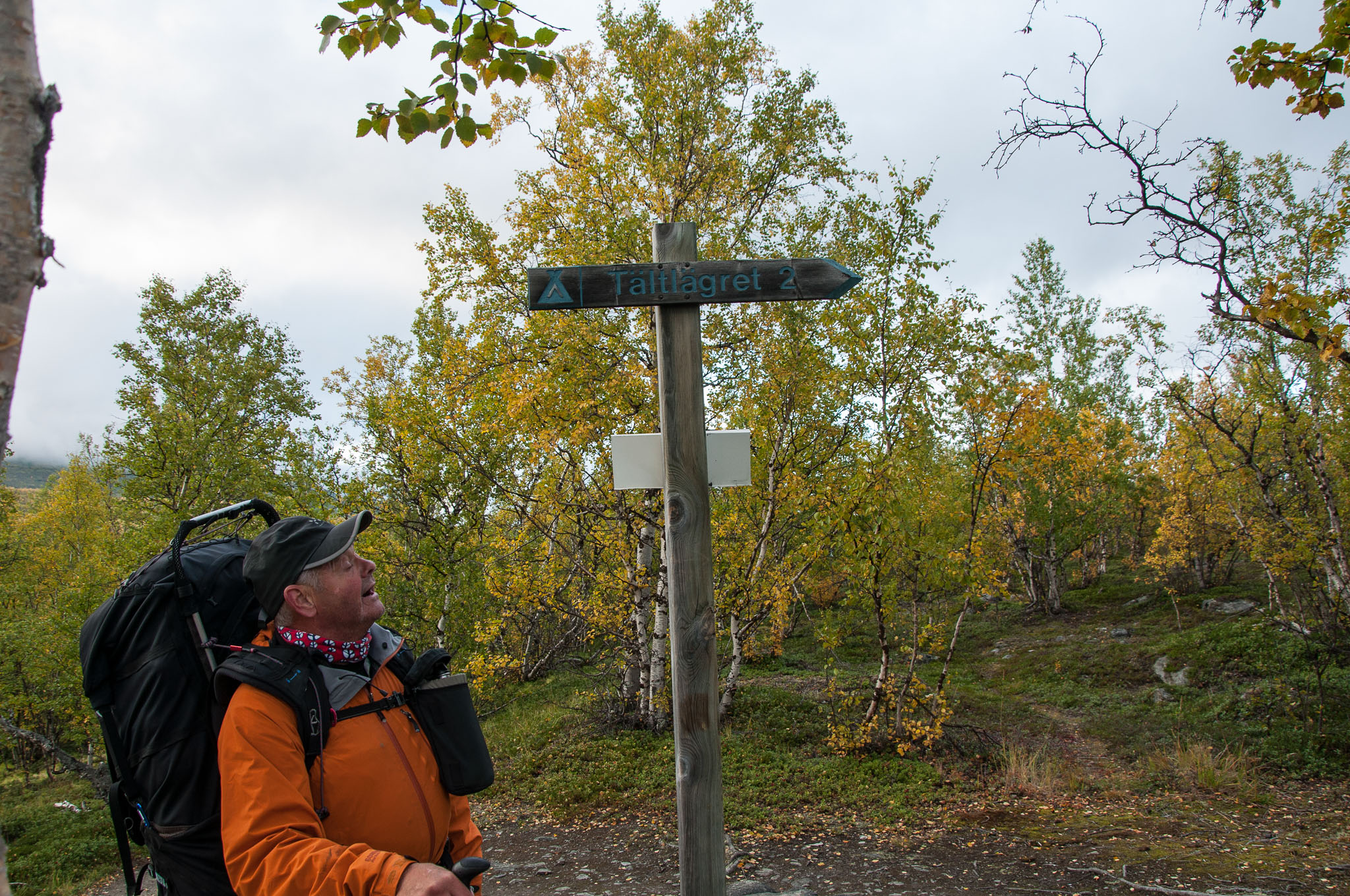 Abisko2017_DSC0026.jpg