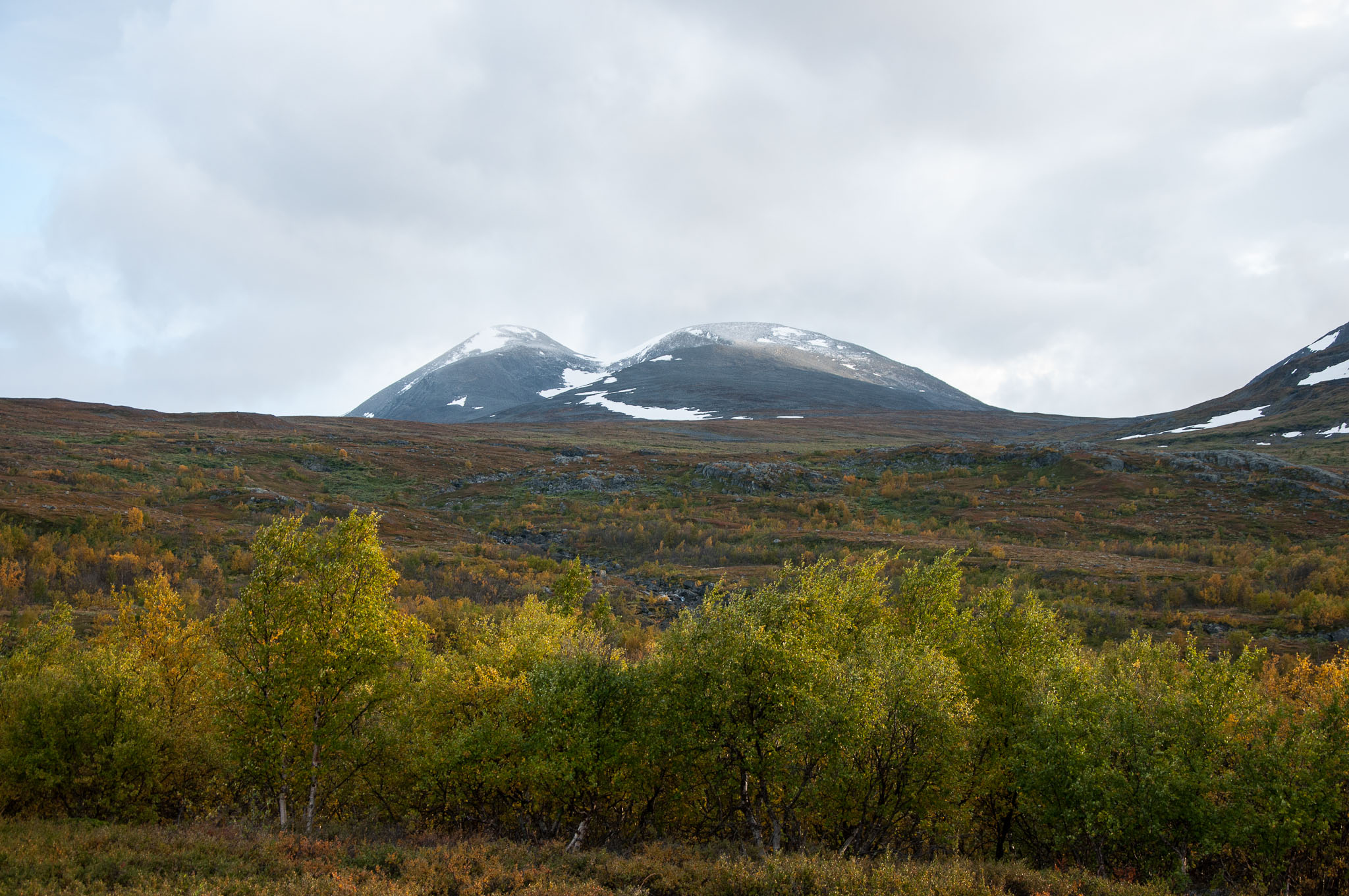 Abisko2017_DSC0030.jpg