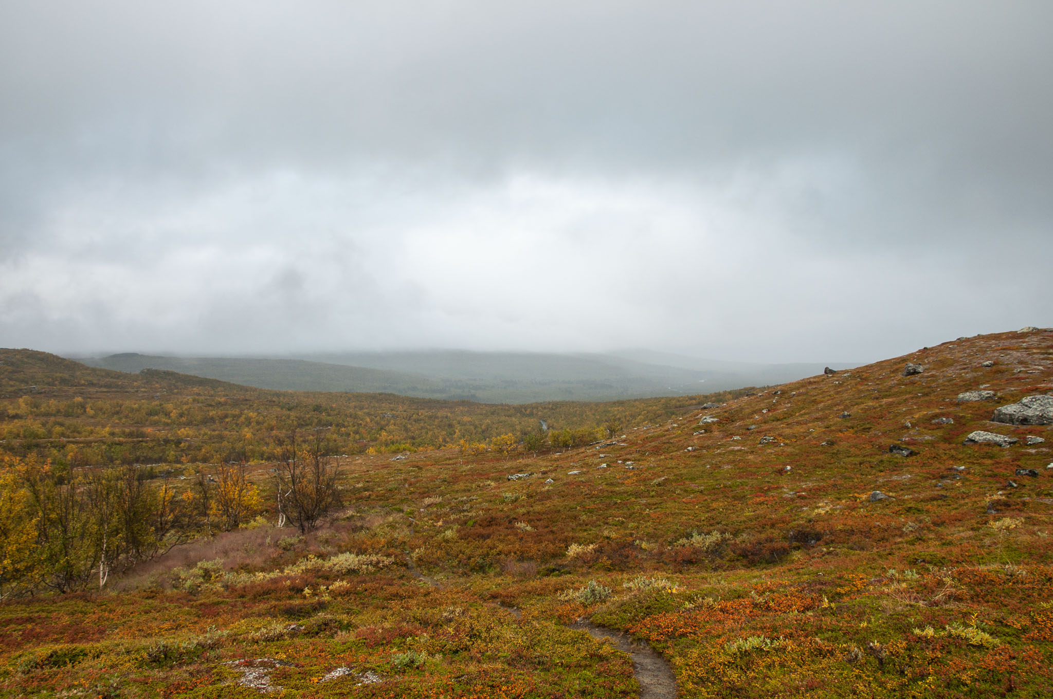 Abisko2017_DSC0045.jpg