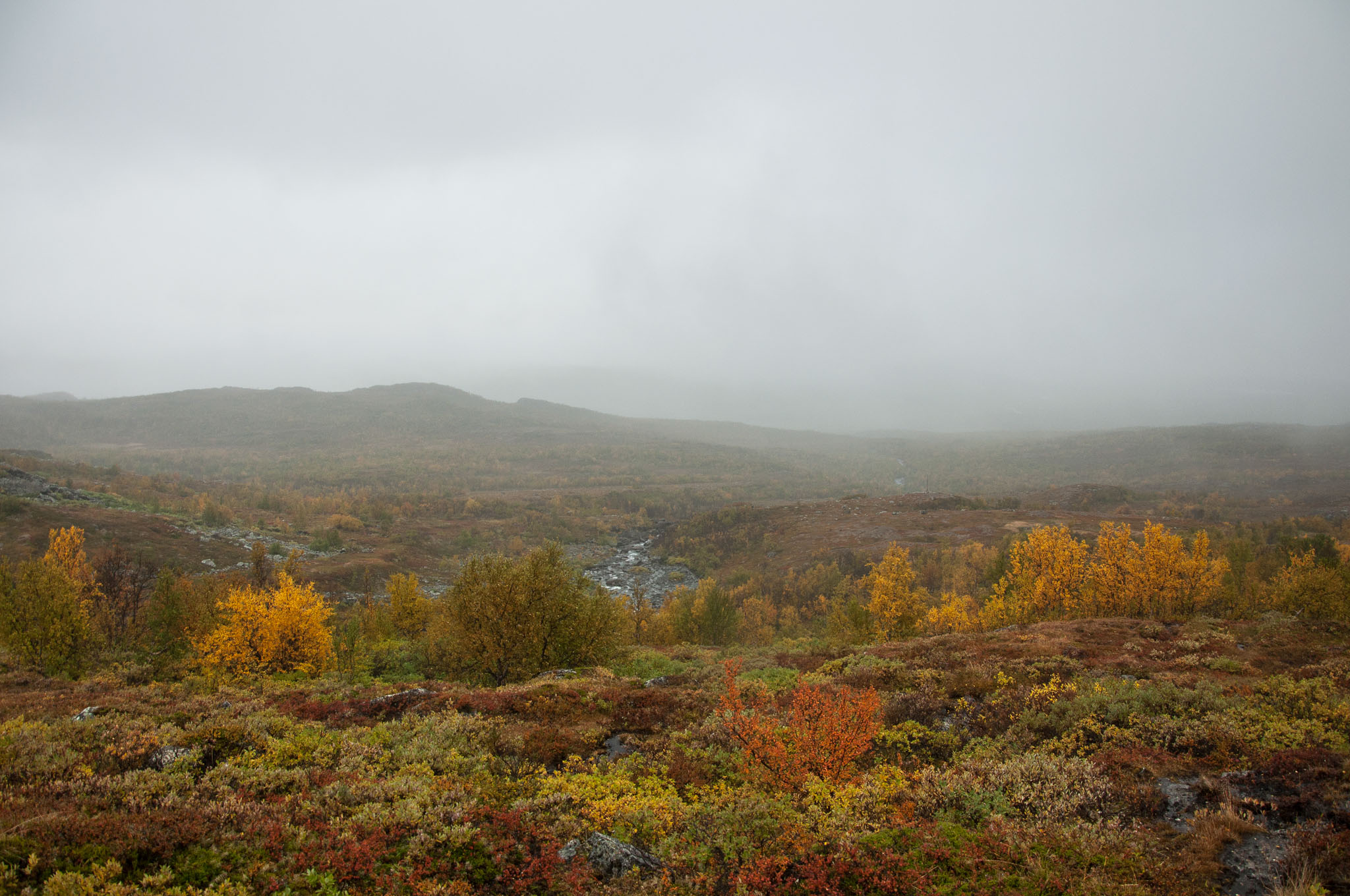 Abisko2017_DSC0051.jpg