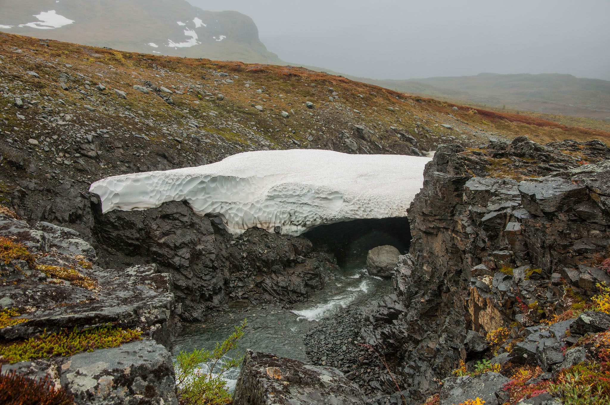 Abisko2017_DSC0054.jpg