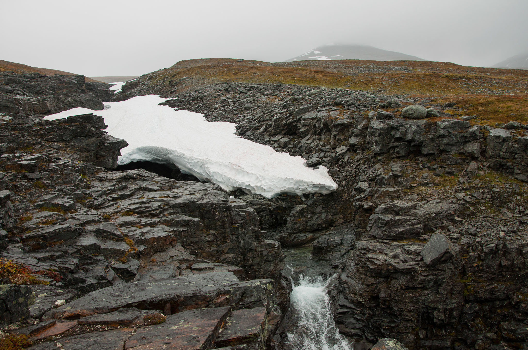 Abisko2017_DSC0062.jpg