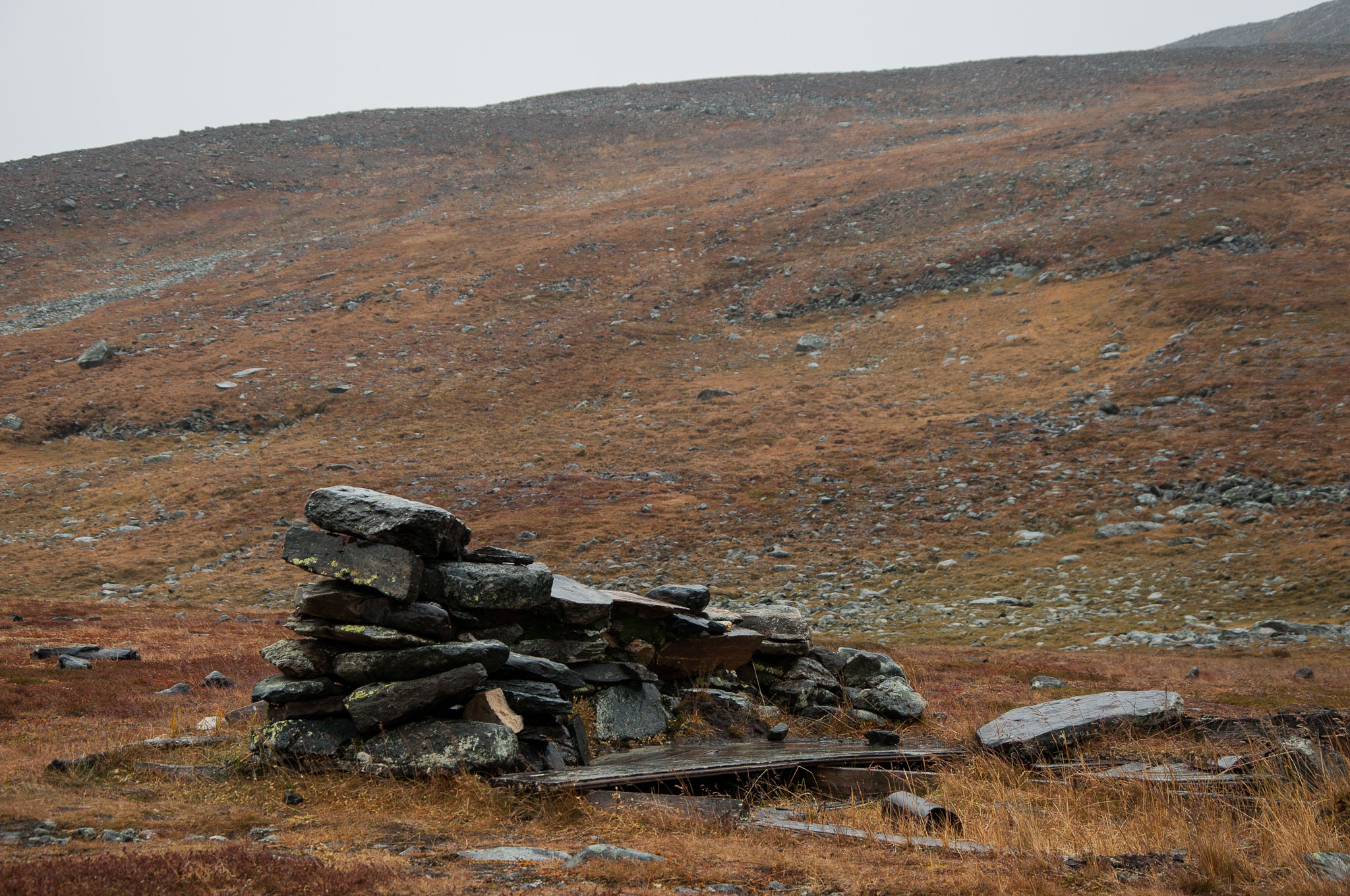 Abisko2017_DSC0073.jpg