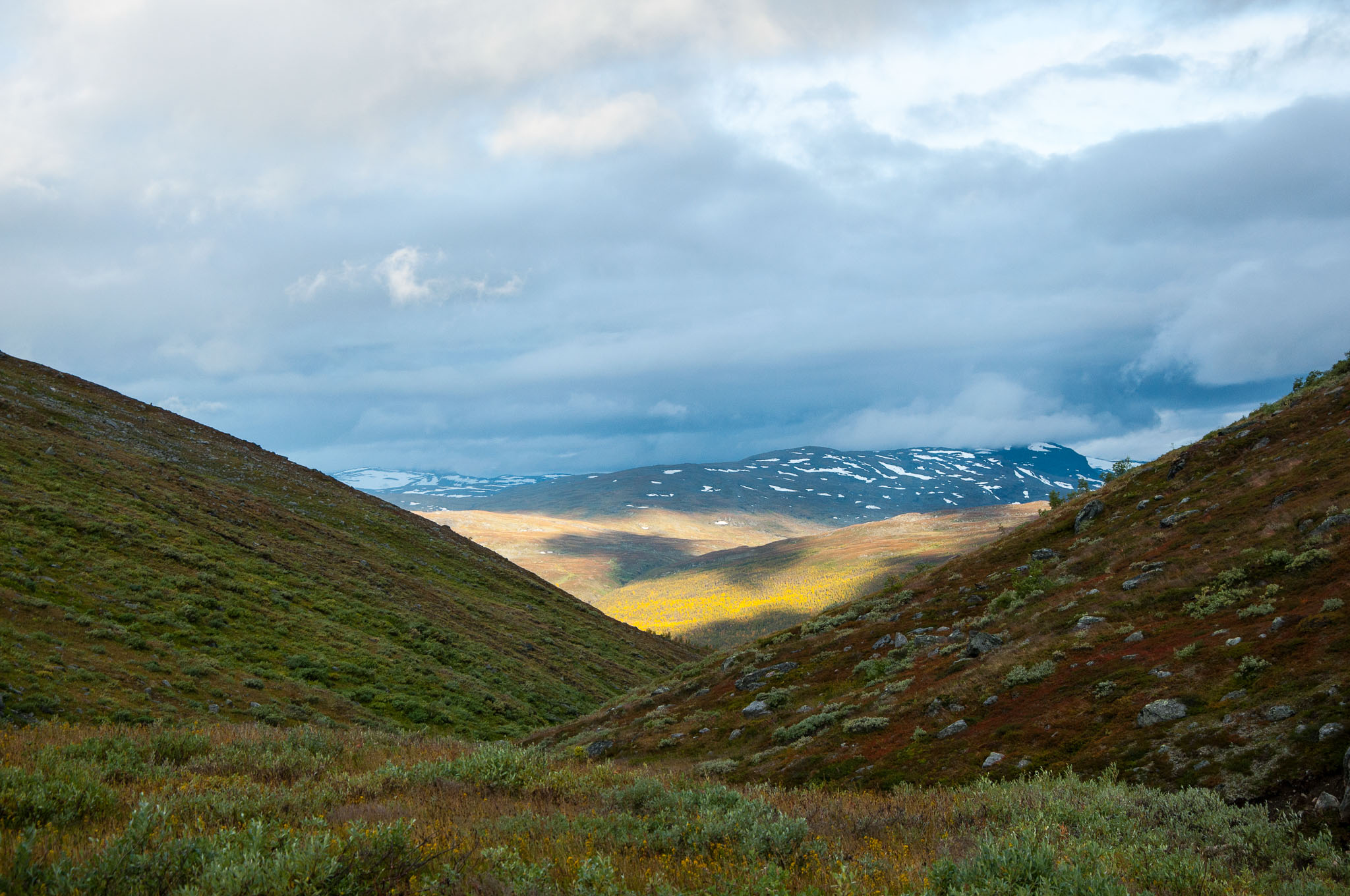 Abisko2017_DSC0087.jpg