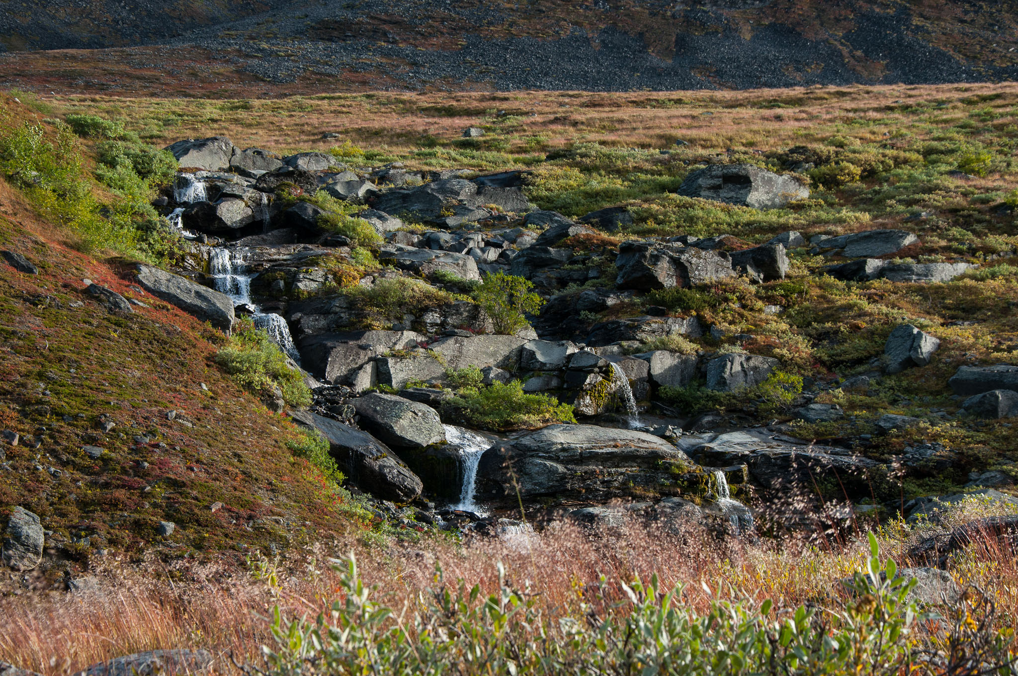 Abisko2017_DSC0110.jpg