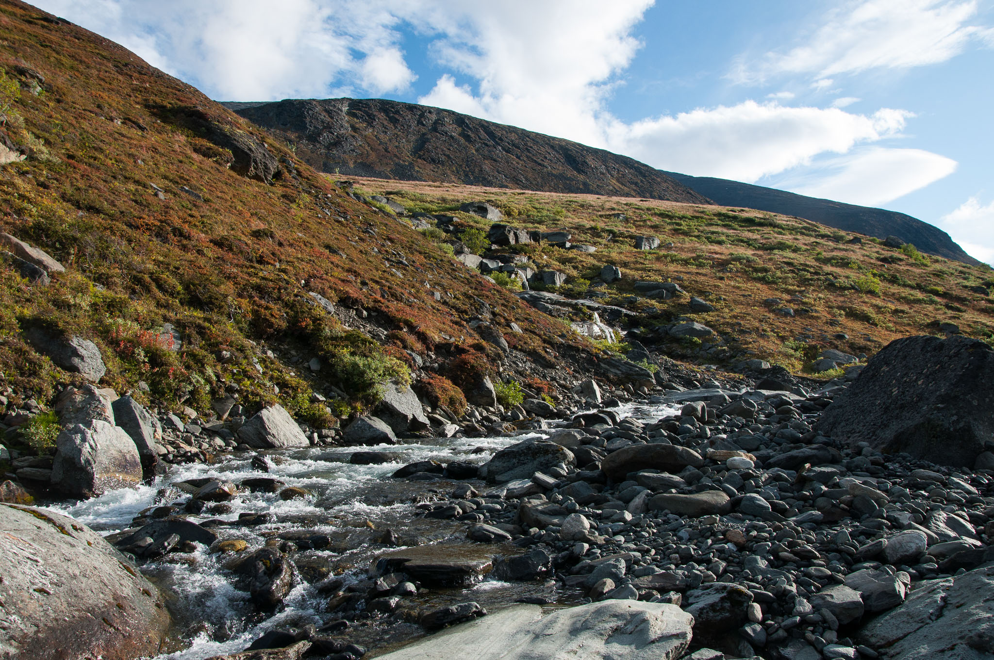 Abisko2017_DSC0126.jpg