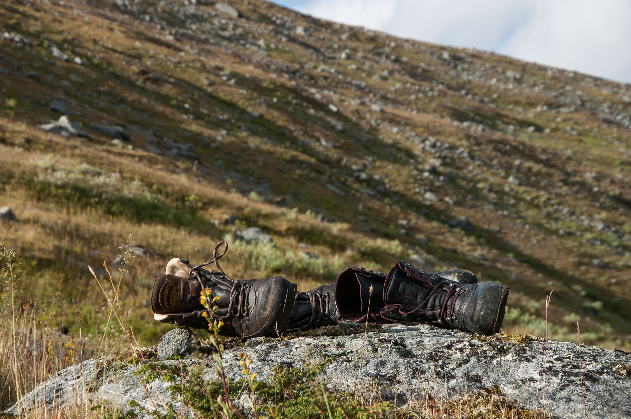 Abisko2017_DSC0142.jpg