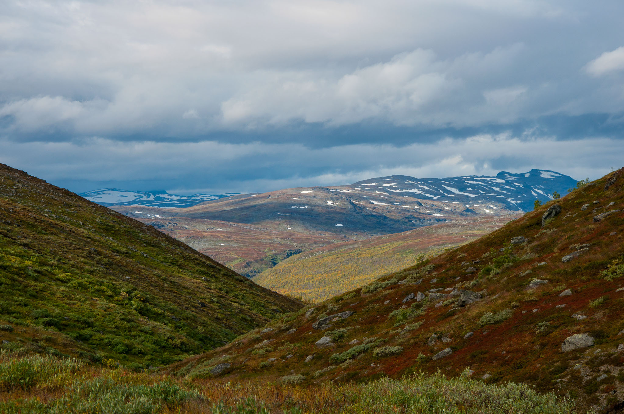 Abisko2017_DSC0147.jpg