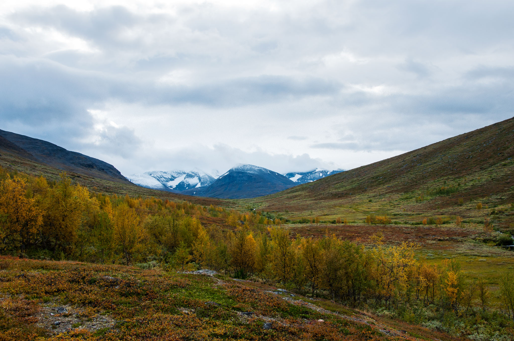 Abisko2017_DSC0157.jpg