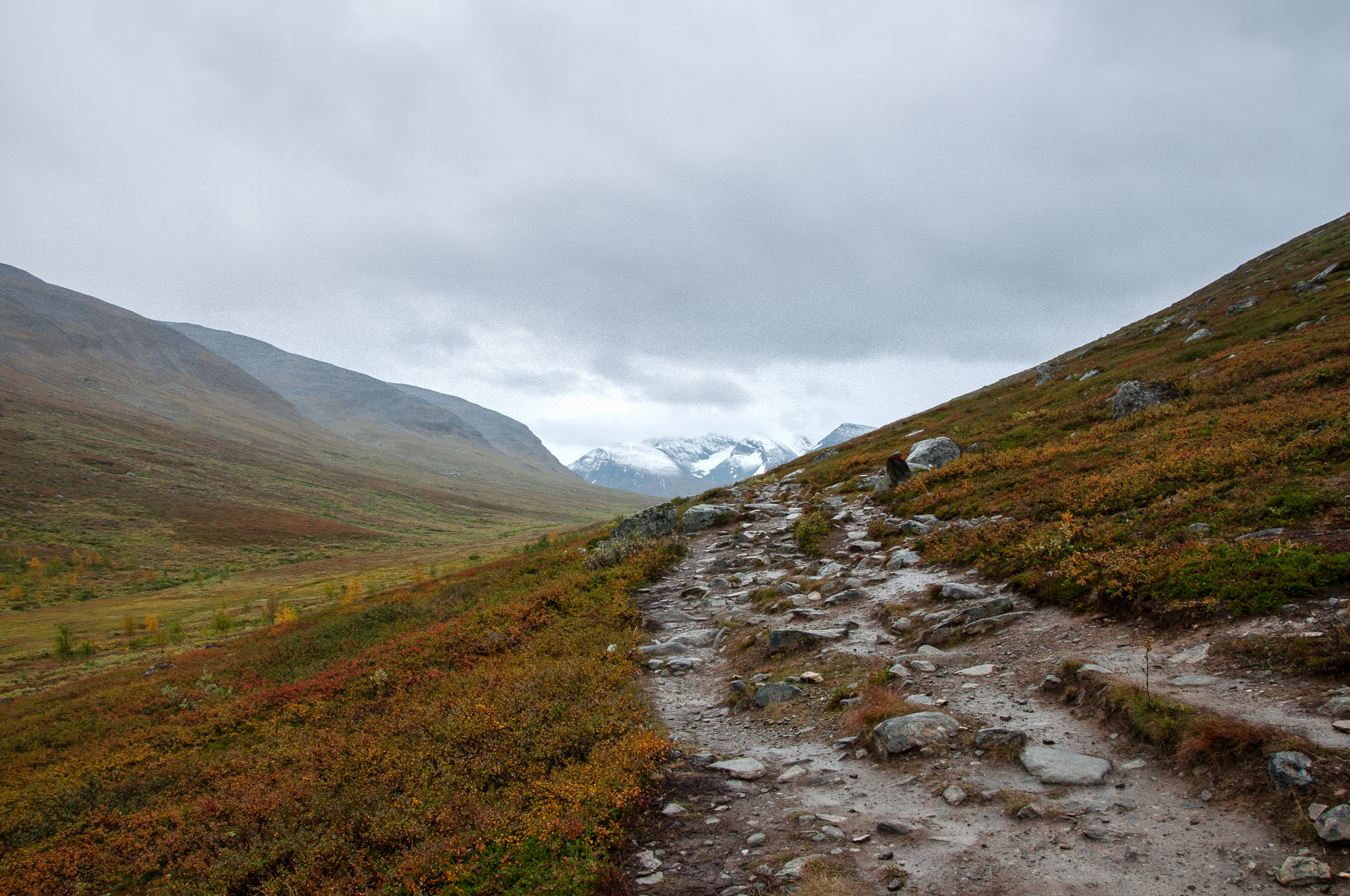 Abisko2017_DSC0158.jpg