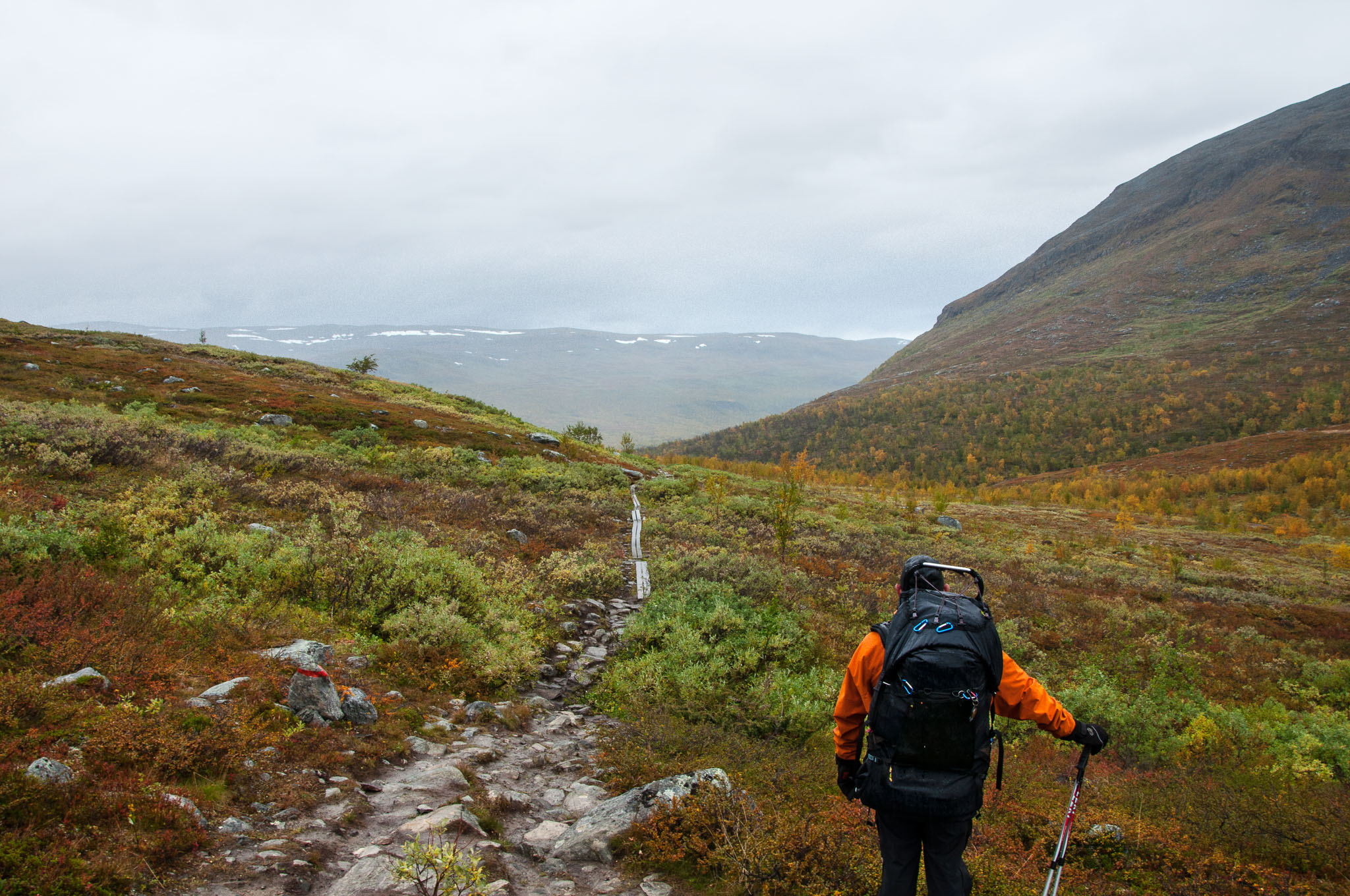 Abisko2017_DSC0160.jpg