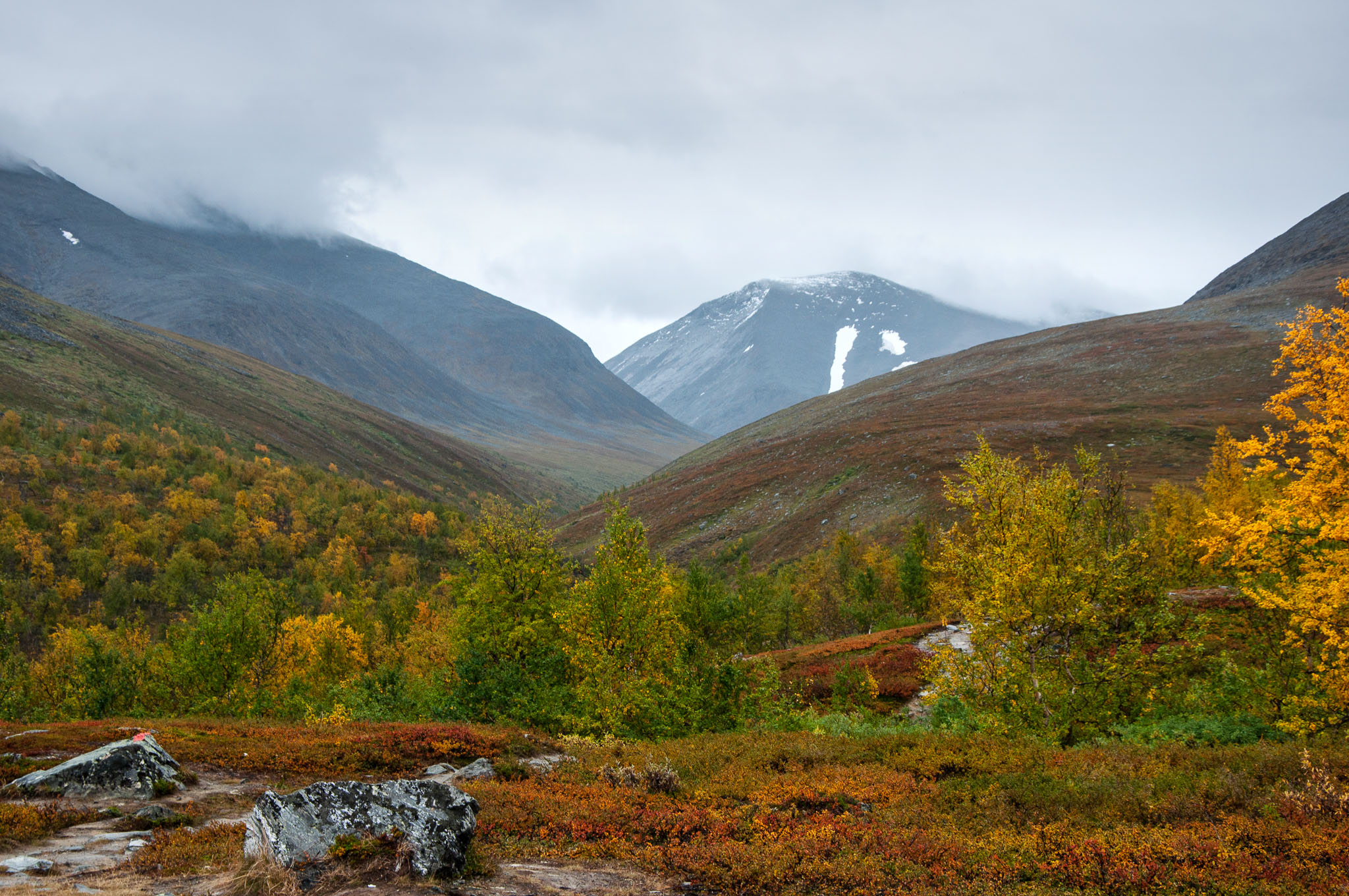 Abisko2017_DSC0164.jpg