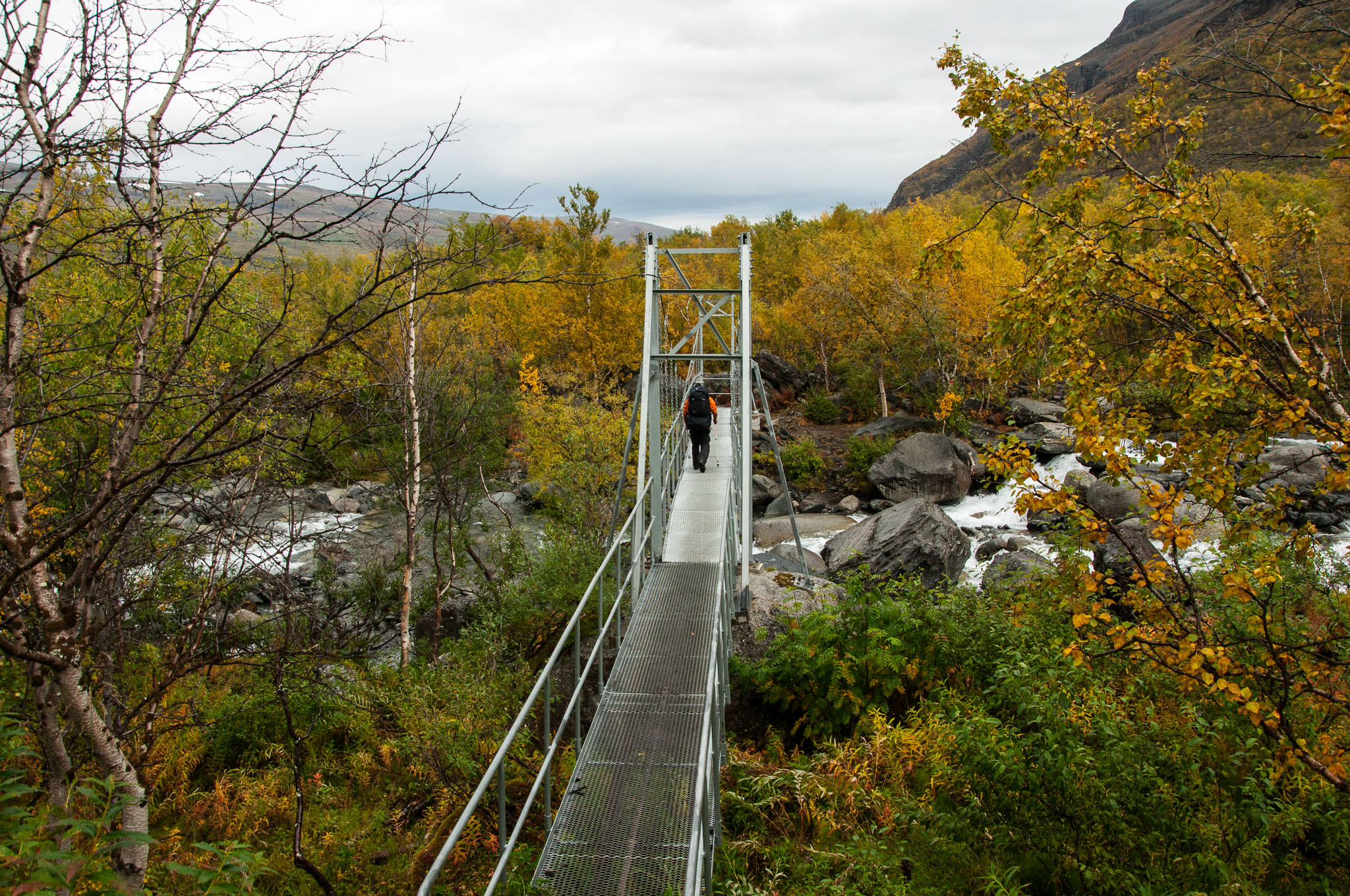 Abisko2017_DSC0177.jpg