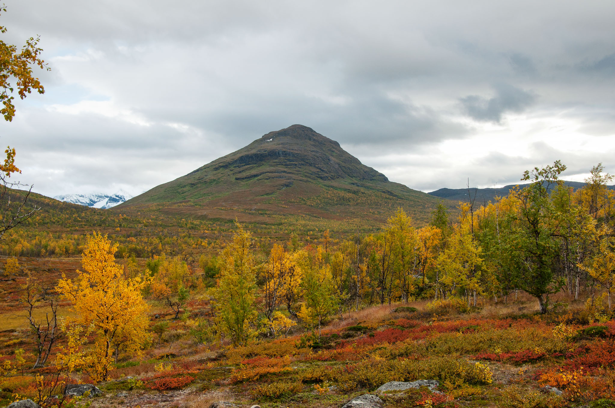 Abisko2017_DSC0184.jpg