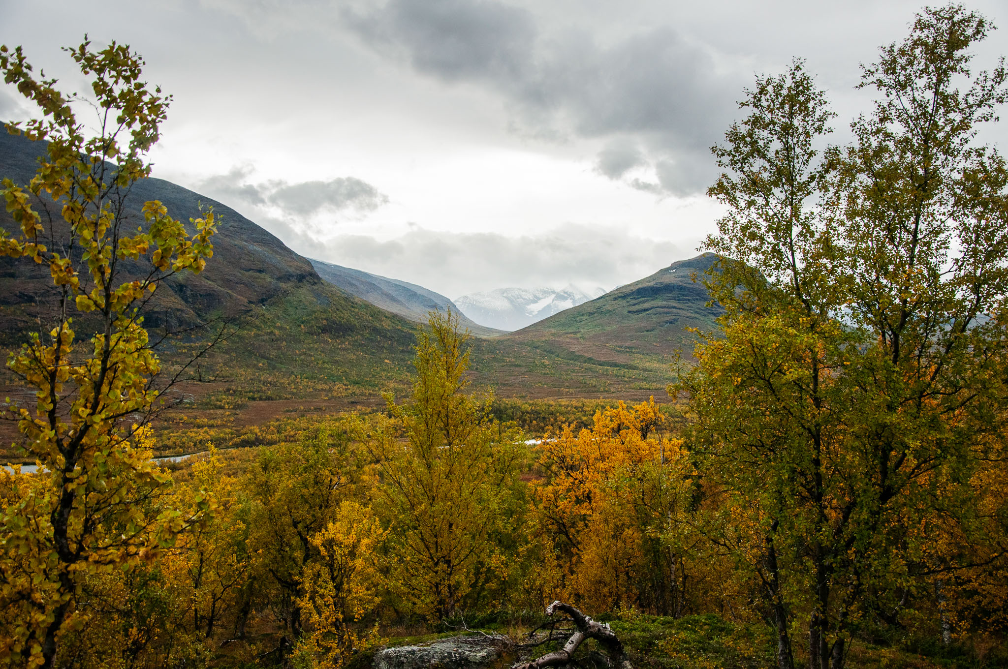 Abisko2017_DSC0228.jpg