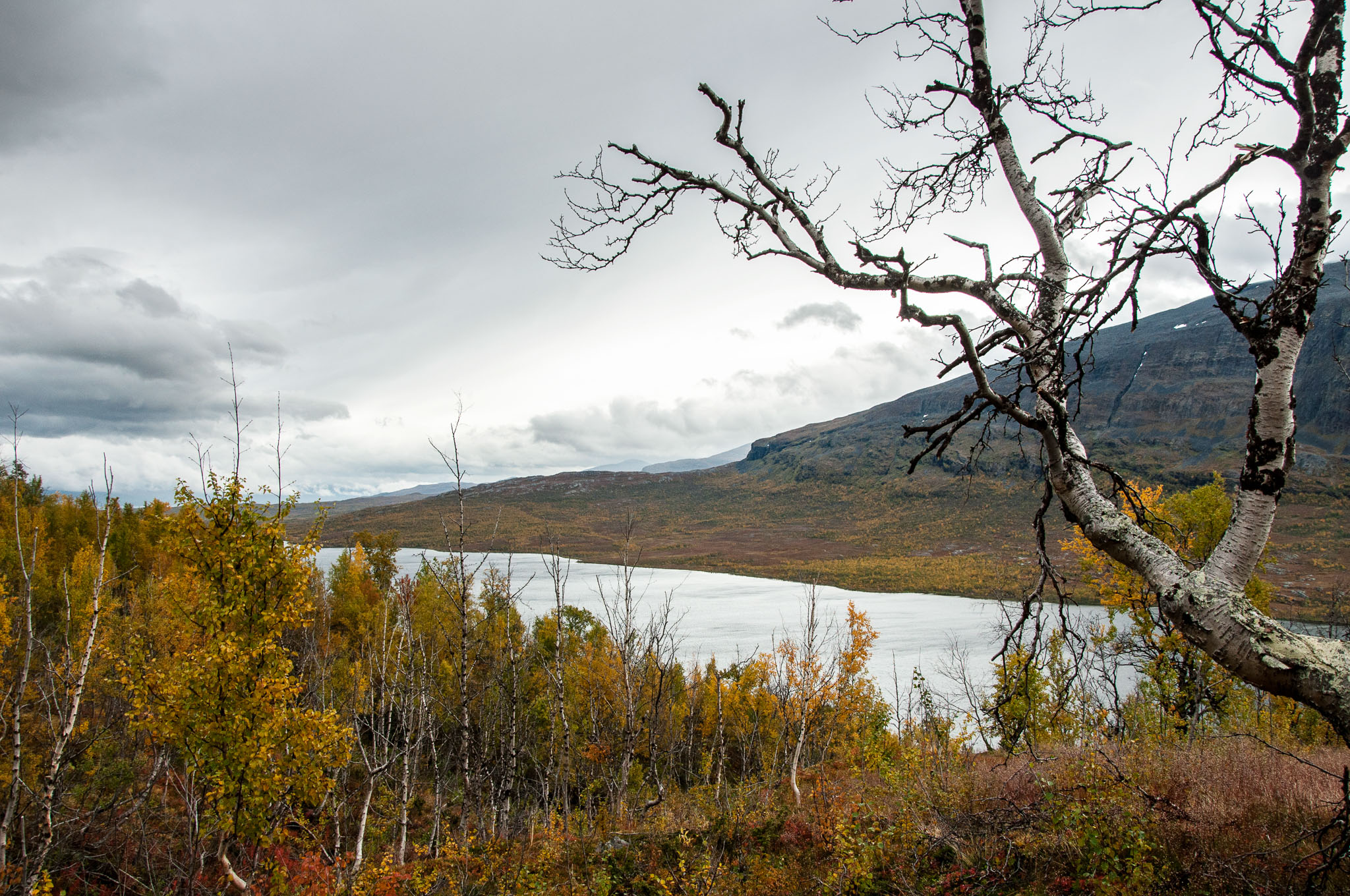 Abisko2017_DSC0231.jpg