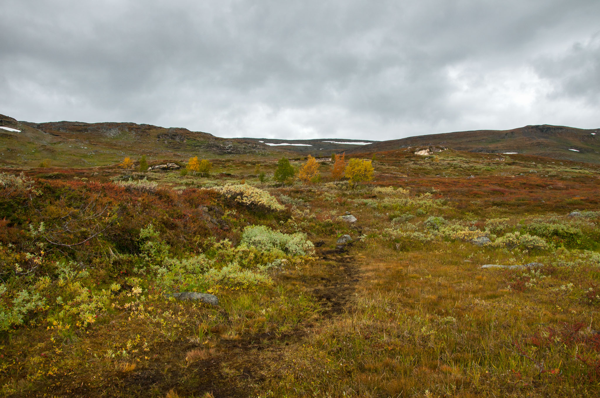 Abisko2017_DSC0235.jpg