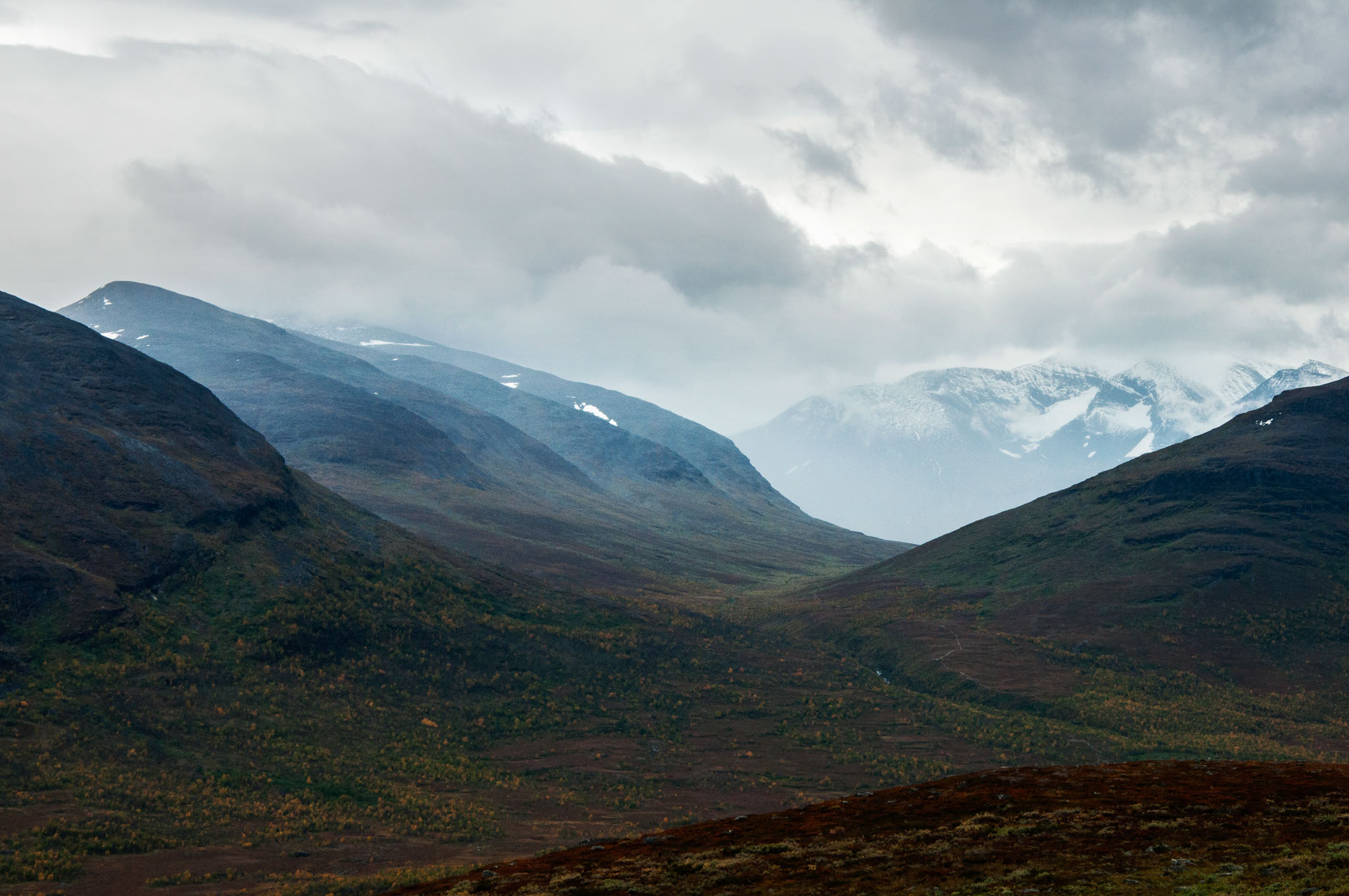 Abisko2017_DSC0262.jpg