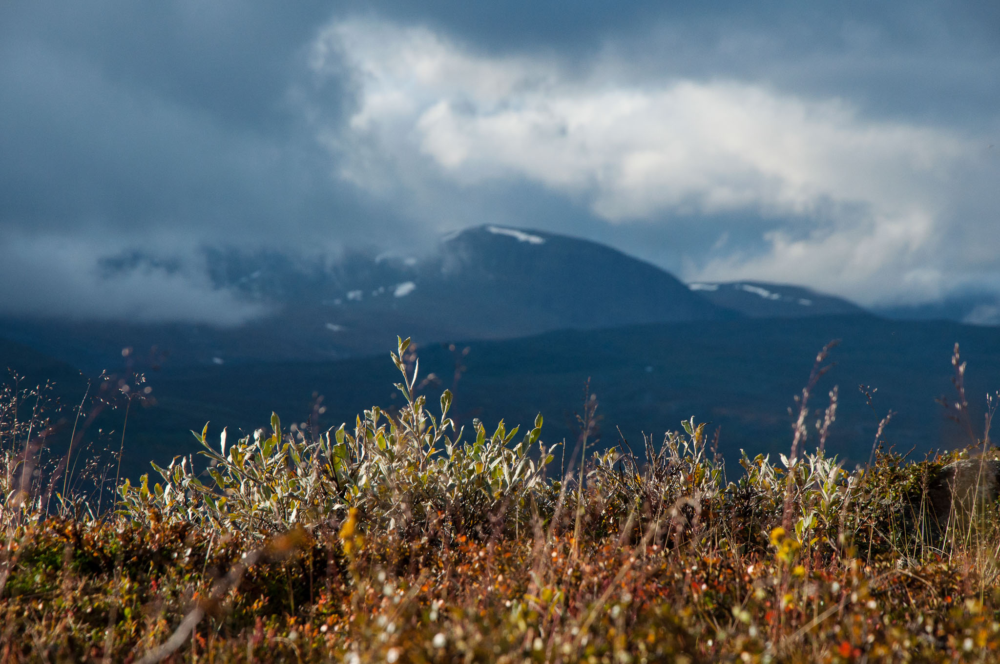 Abisko2017_DSC0345.jpg