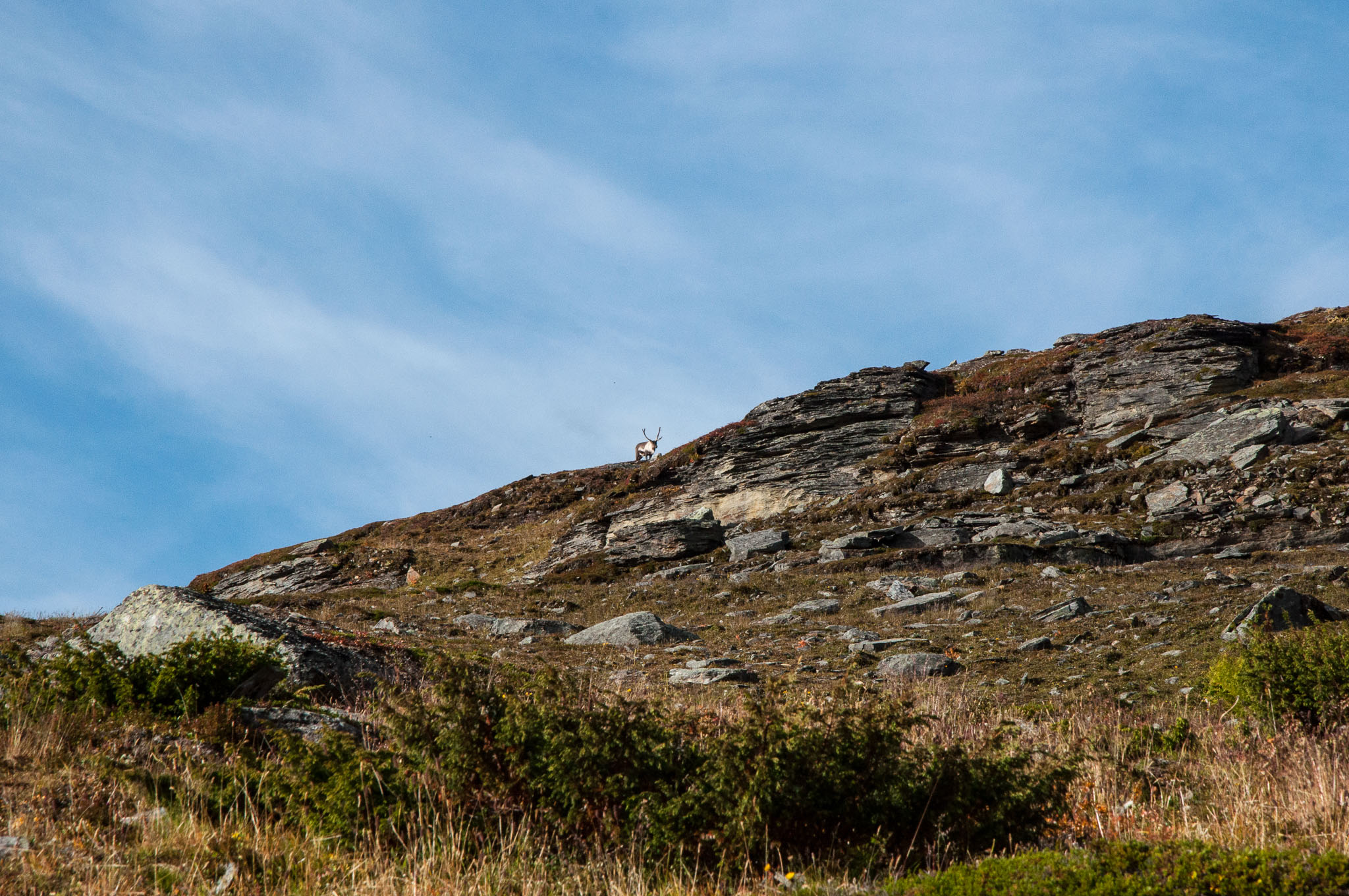 Abisko2017_DSC0361.jpg