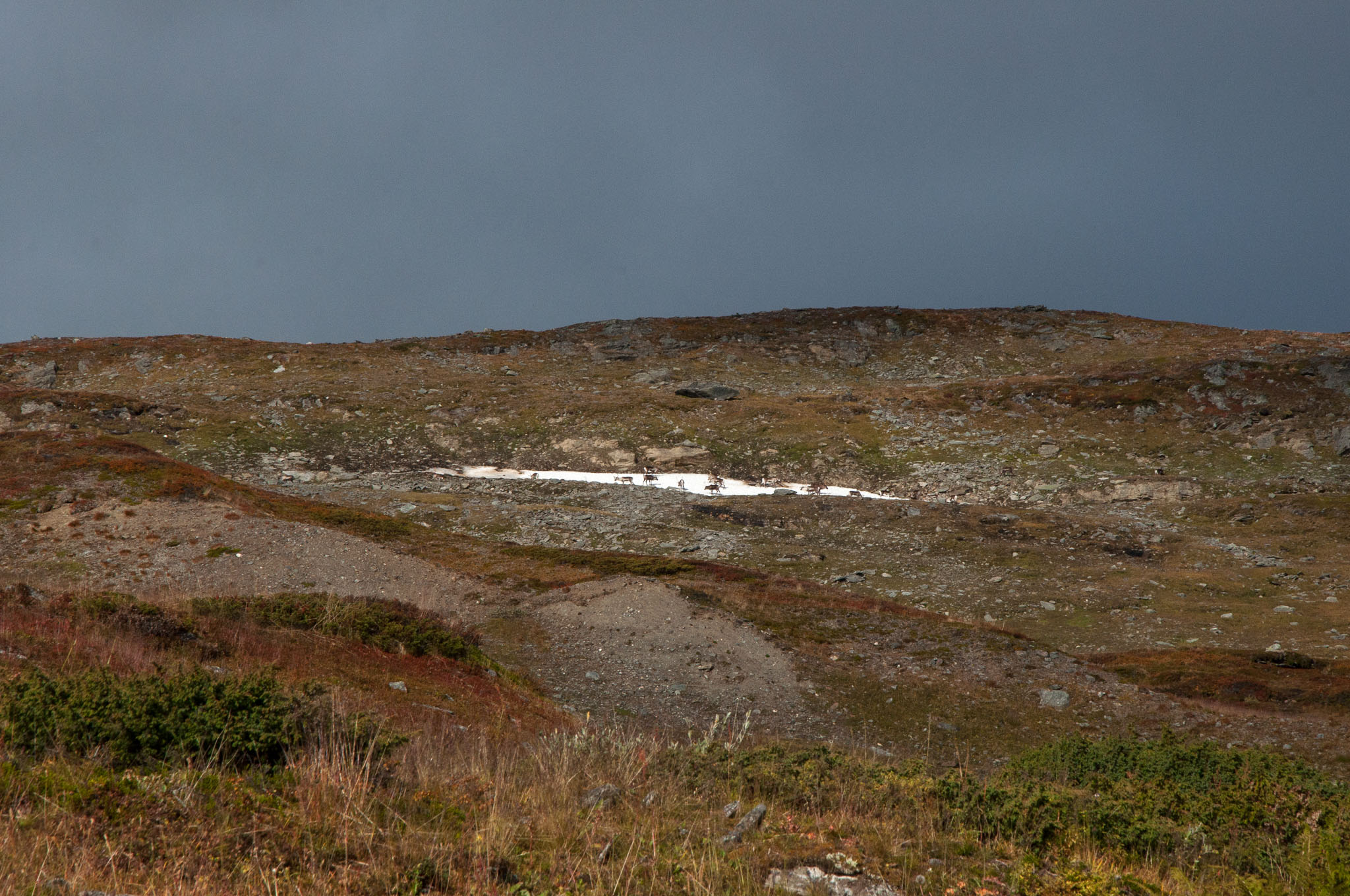 Abisko2017_DSC0363.jpg