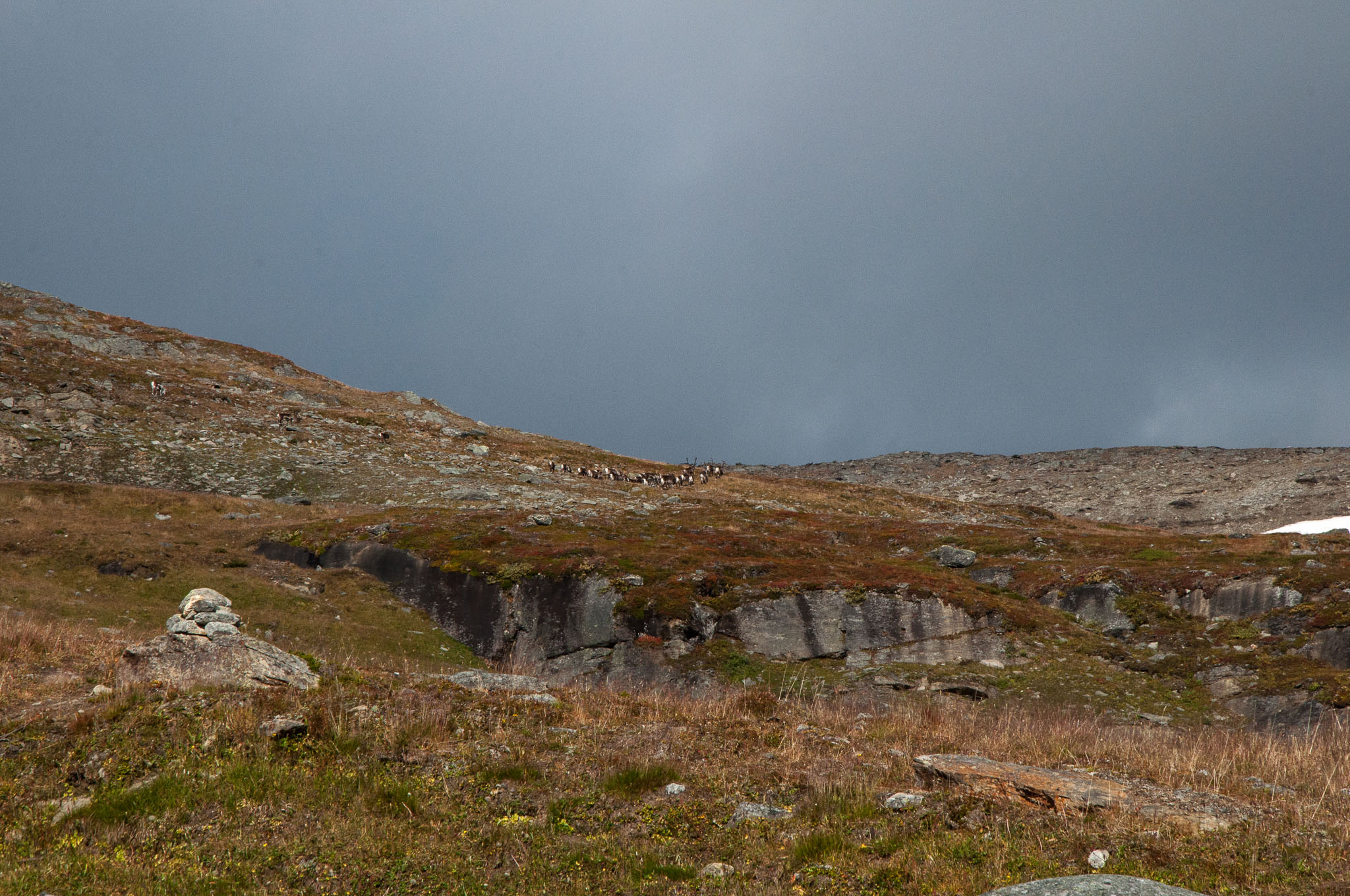 Abisko2017_DSC0364.jpg