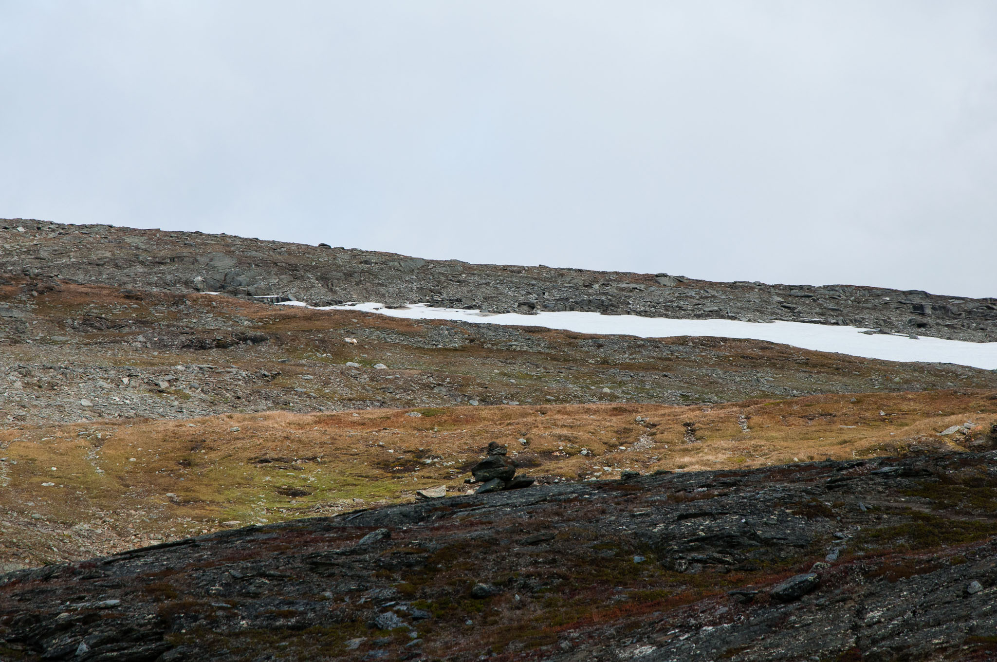 Abisko2017_DSC0386.jpg