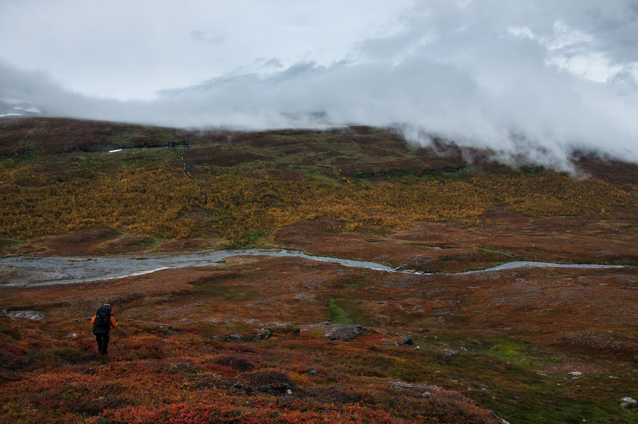 Abisko2017_DSC0468.jpg