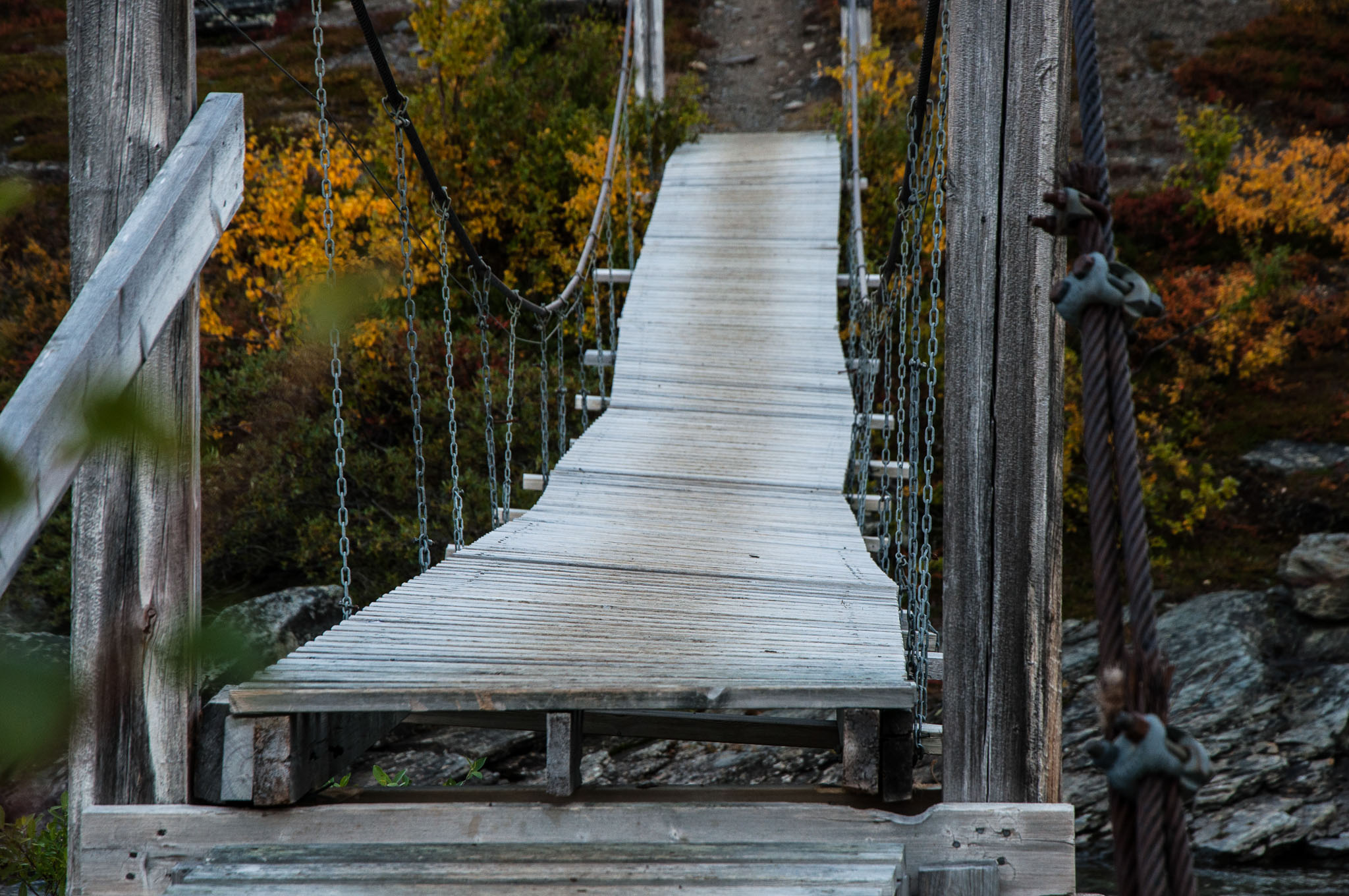 Abisko2017_DSC0479.jpg