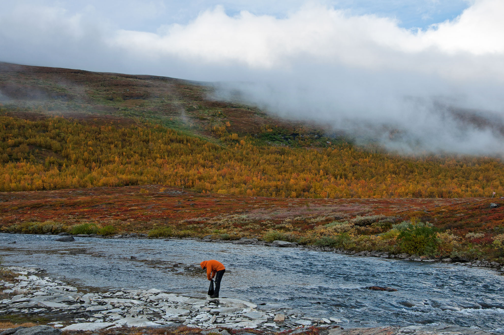 Abisko2017_DSC0482.jpg