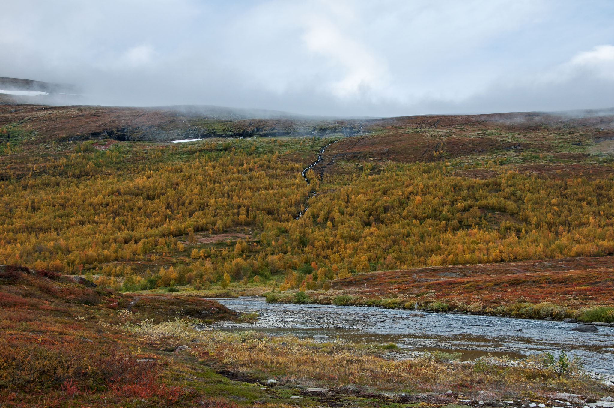 Abisko2017_DSC0486.jpg