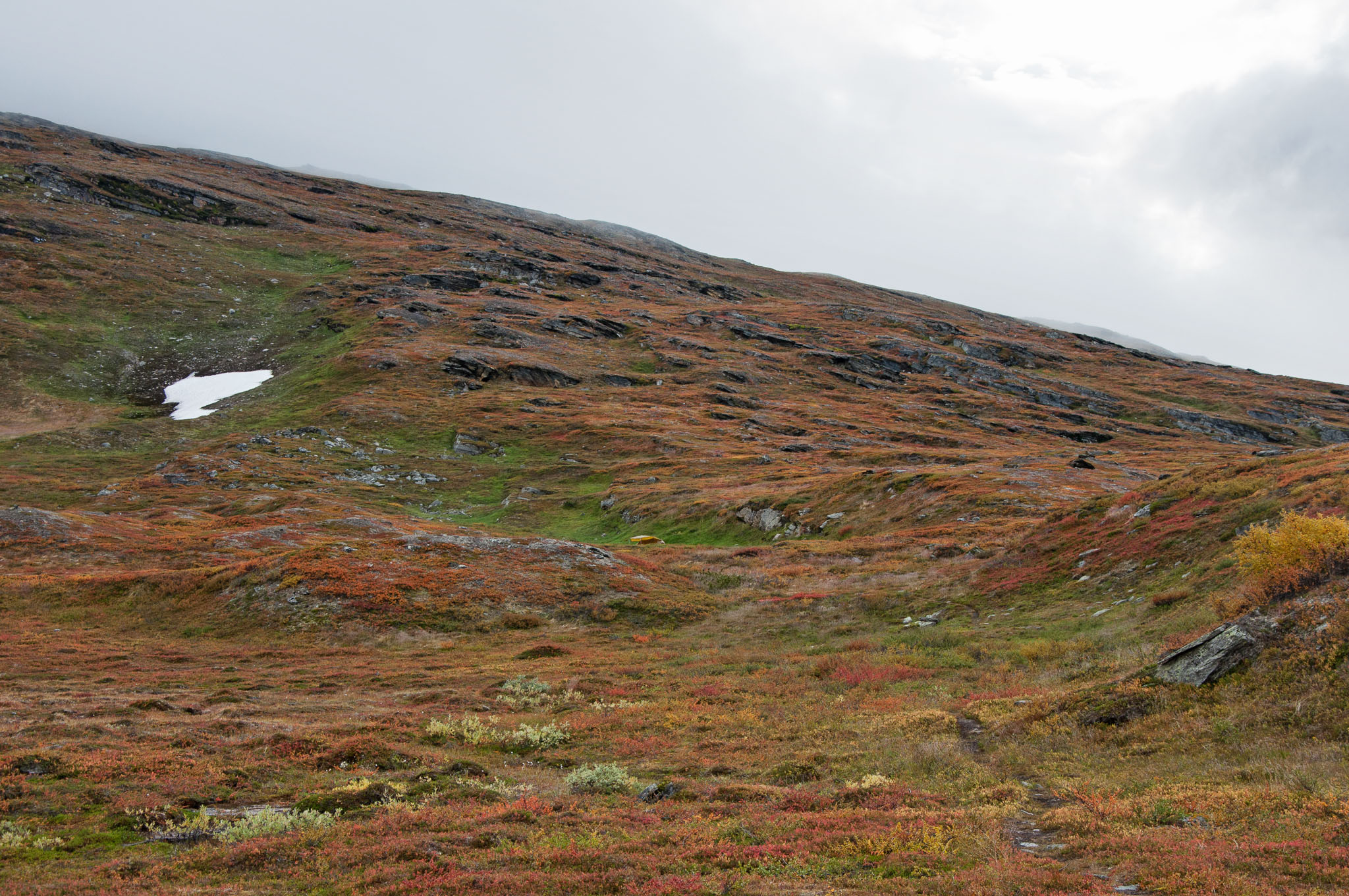 Abisko2017_DSC0488.jpg